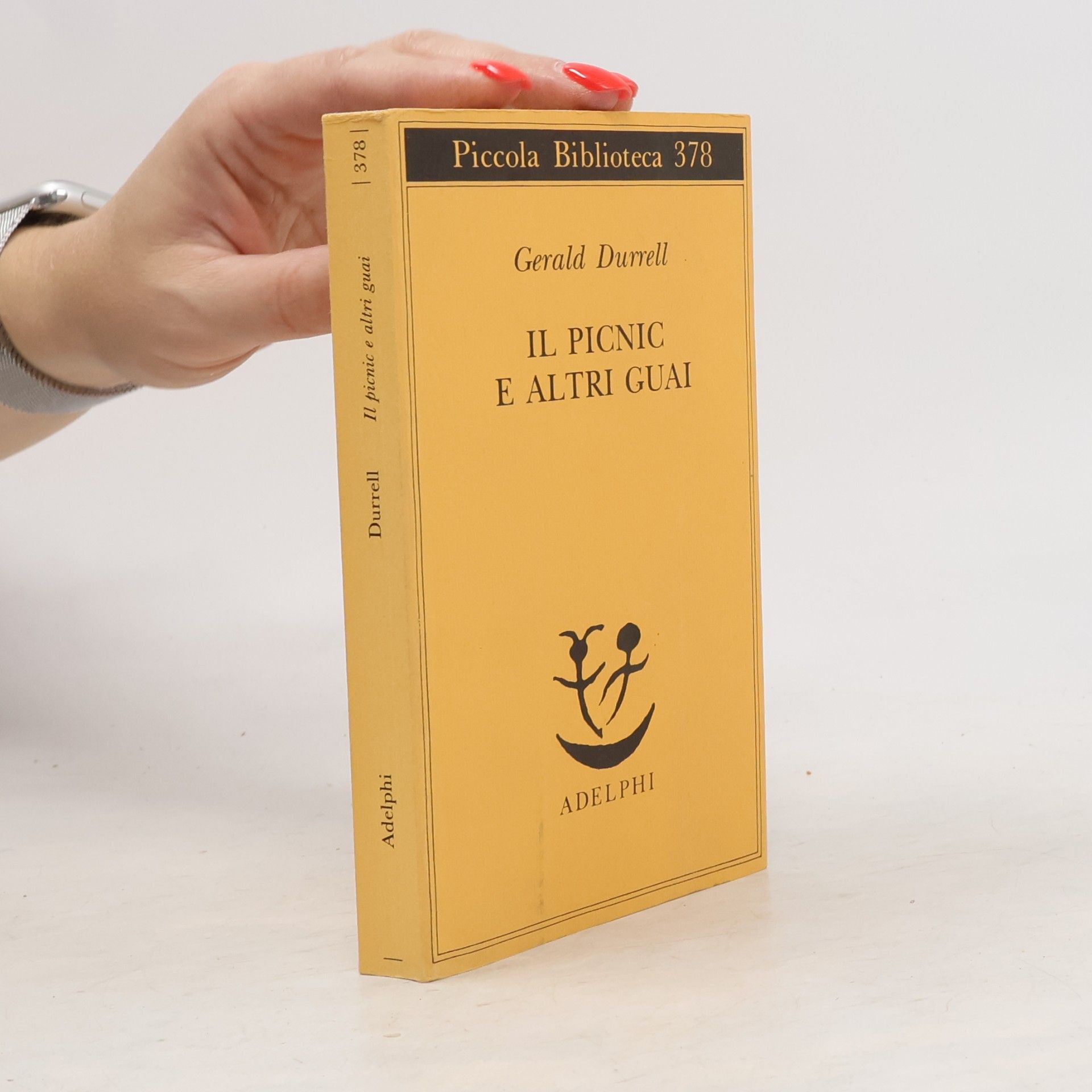 Piccola biblioteca - 378: Il picnic e altri guai