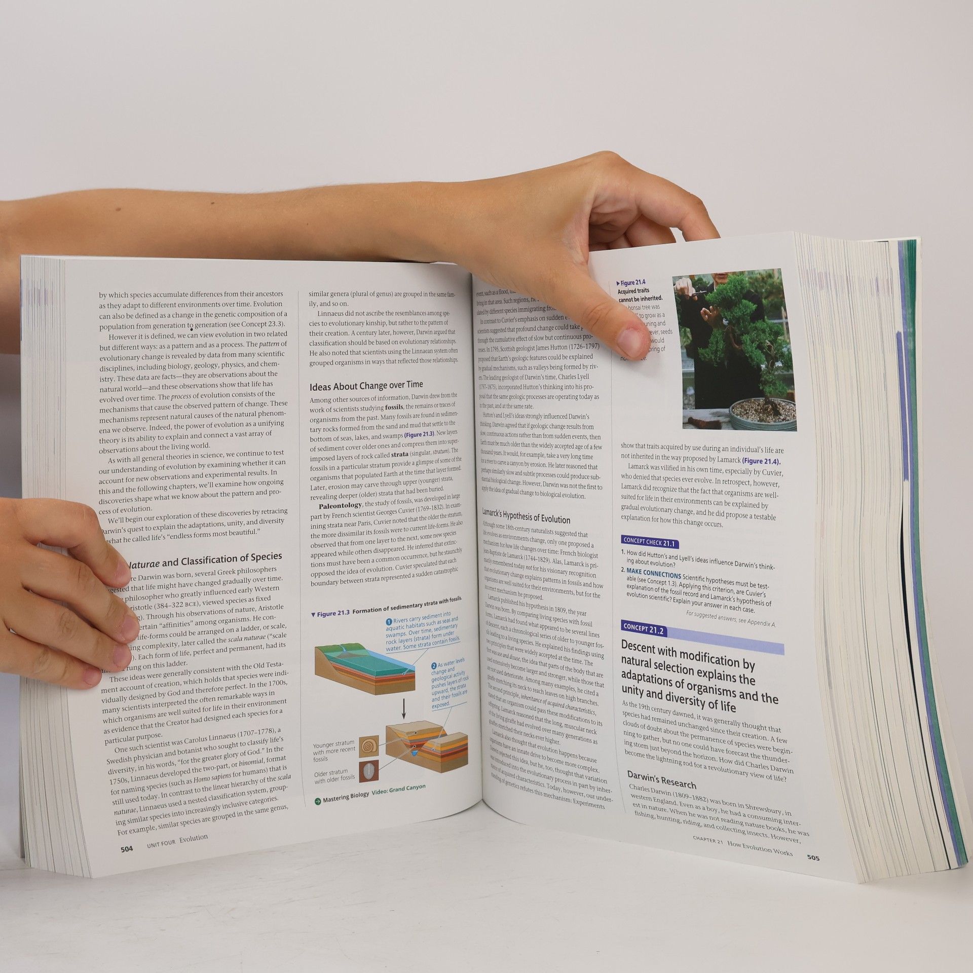 Collectif d'auteurs Biology: A Global Approach, Global Edition