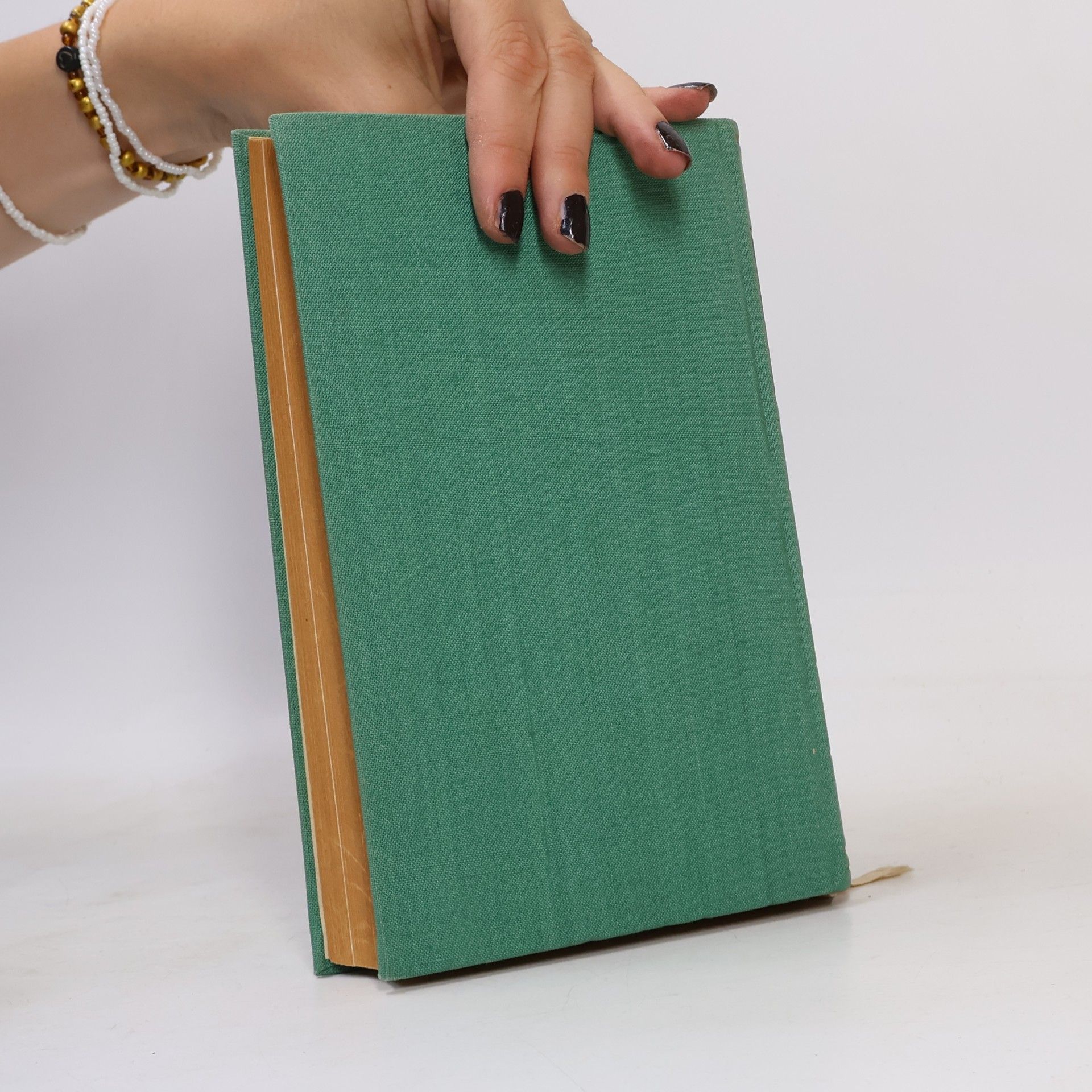 Robert Schumann Aus Robert Schumanns Briefen und Schriften