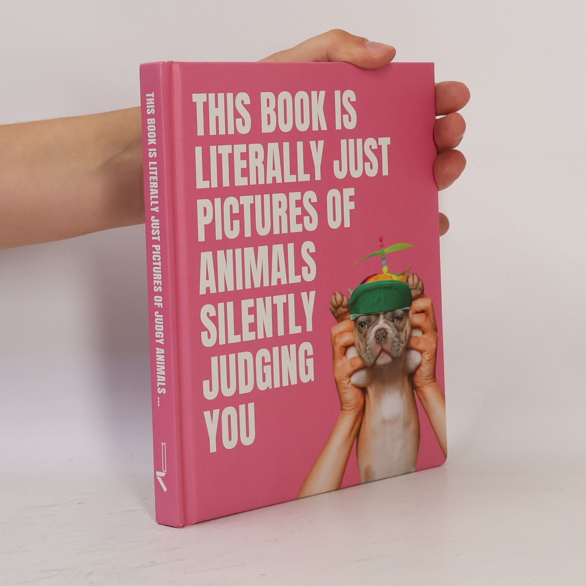 Andrew Street This Book is Literally Just Pictures of Animals Silently Judging You