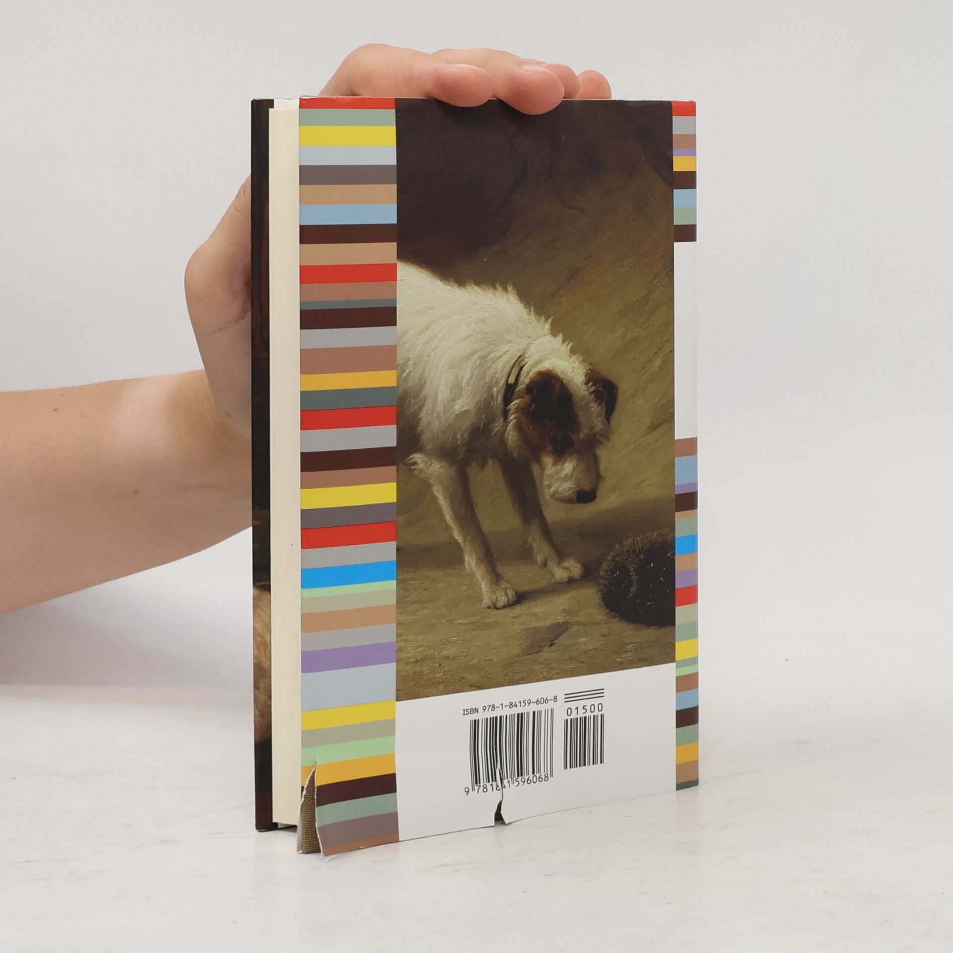 Everyman Dog Stories