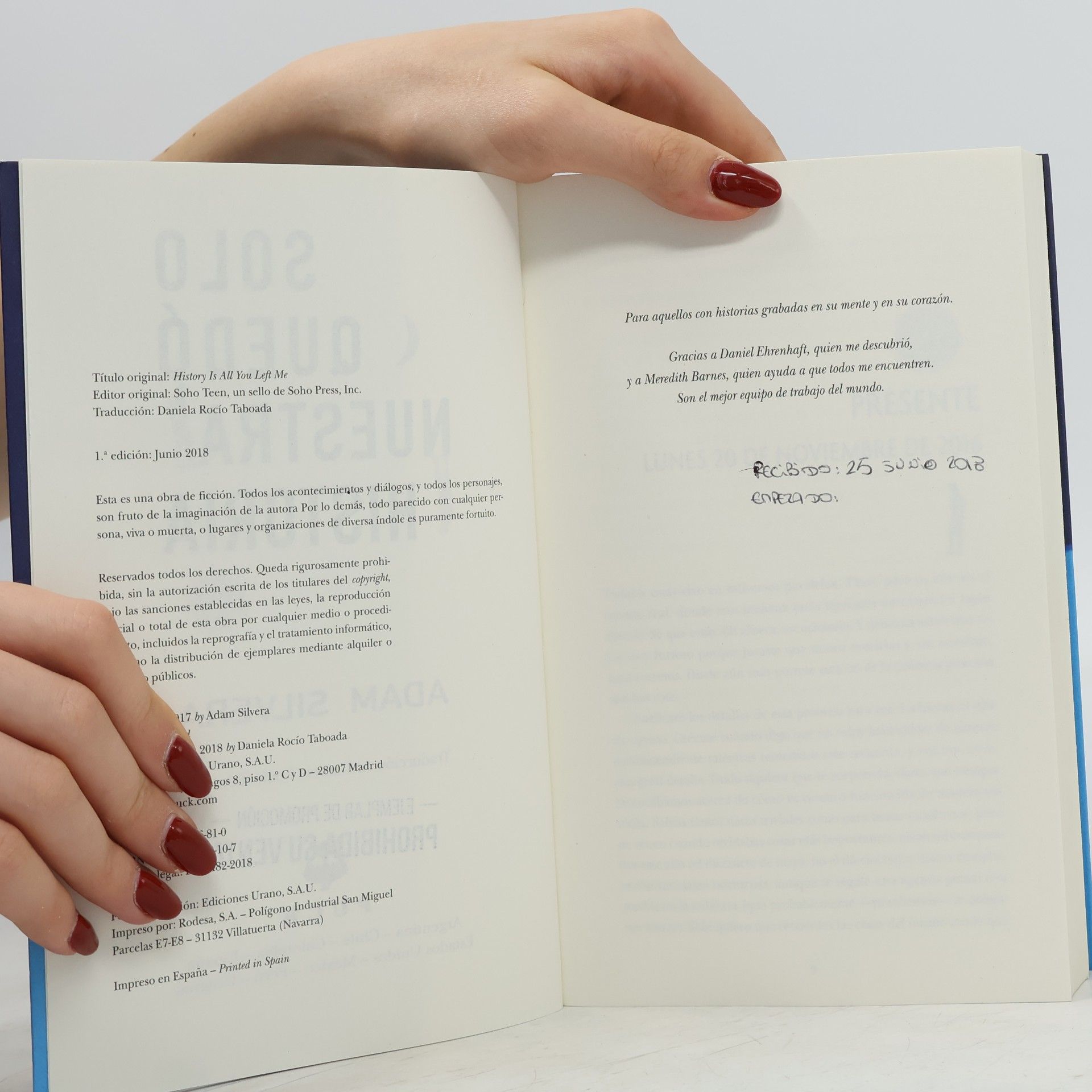 Adam Silvera Serendipia - 2: Solo quedó nuestra historia (Spanish Edition)