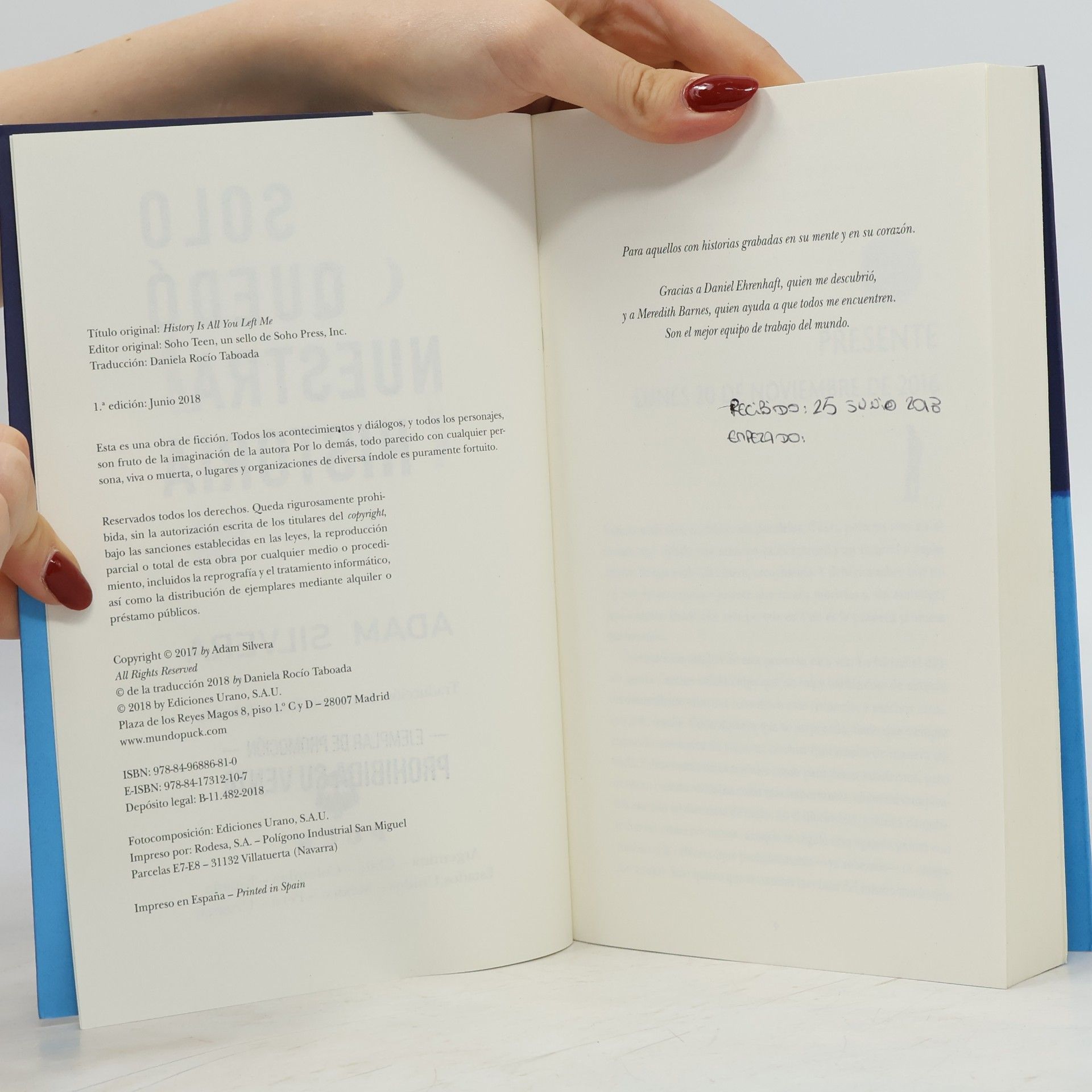 Adam Silvera Serendipia - 2: Solo quedó nuestra historia (Spanish Edition)