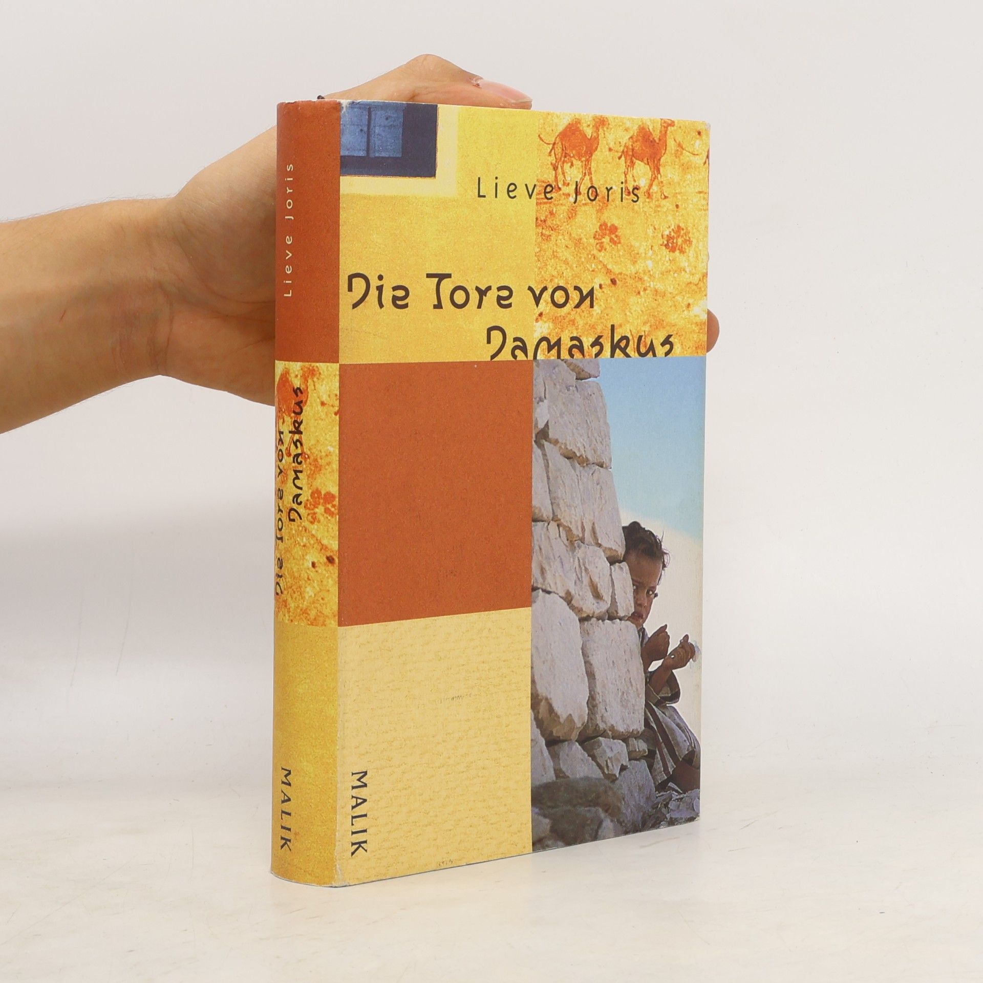 Lieve Joris Die Tore von Damaskus