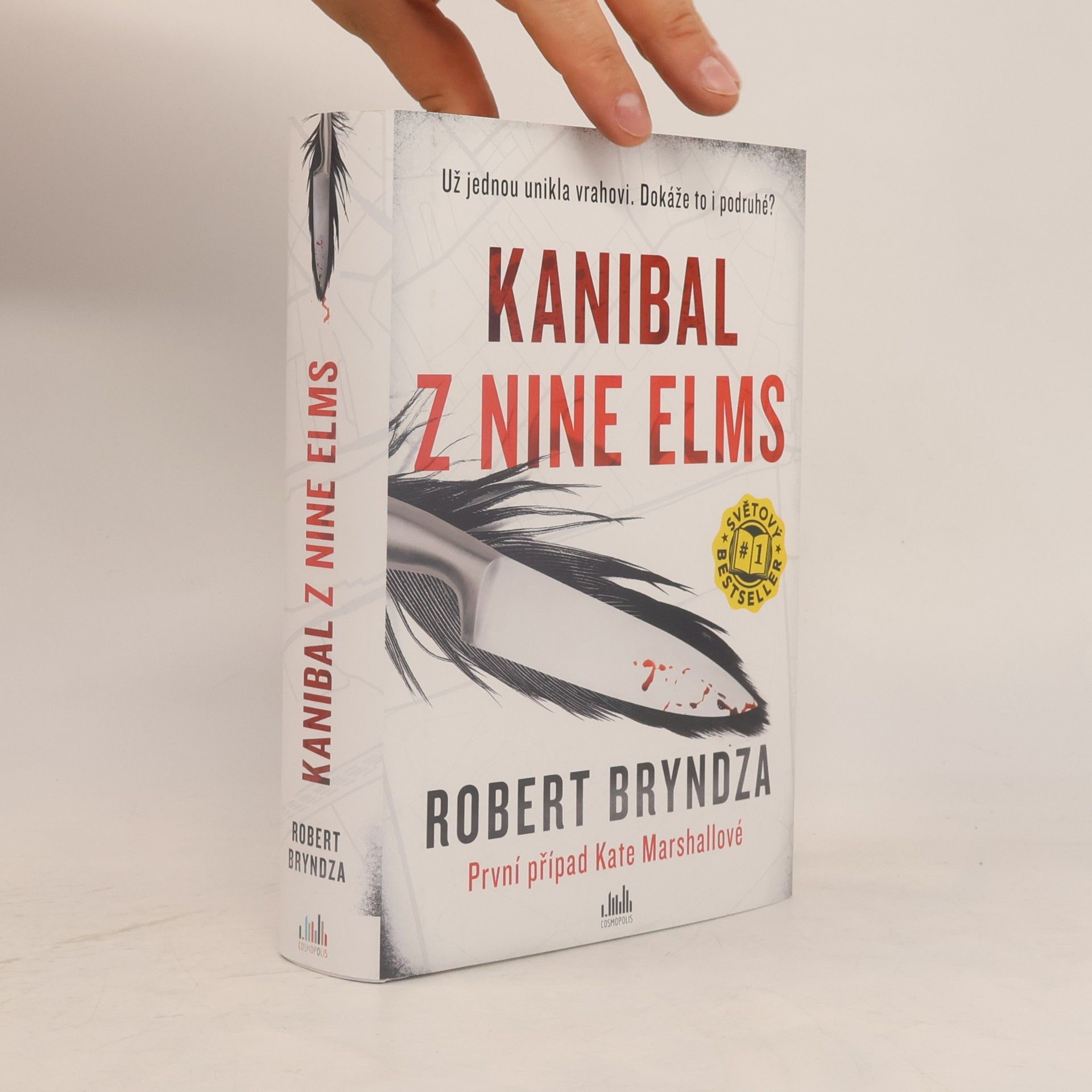 Robert Bryndza Kanibal z Nine Elms
