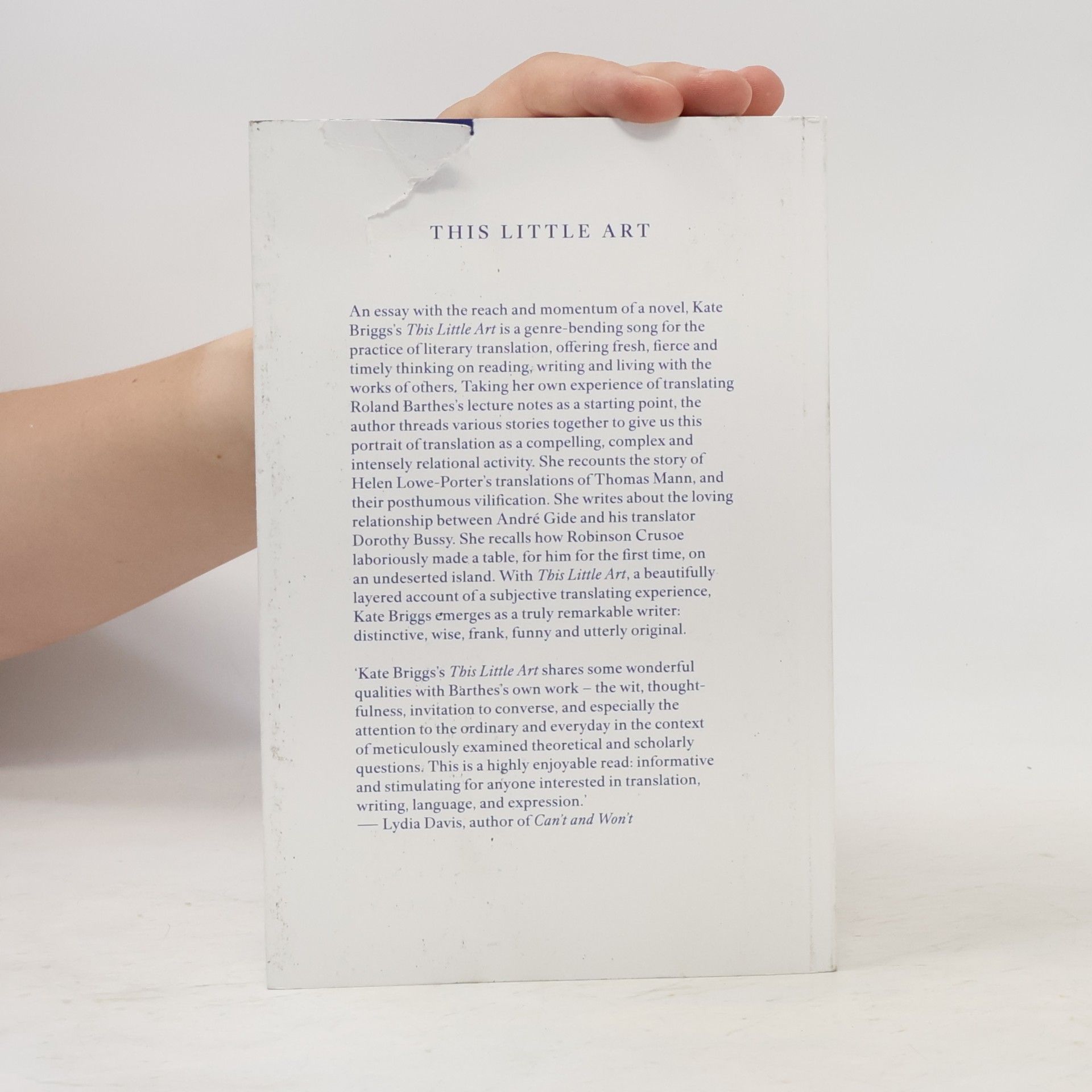 Kate Briggs This Little Art