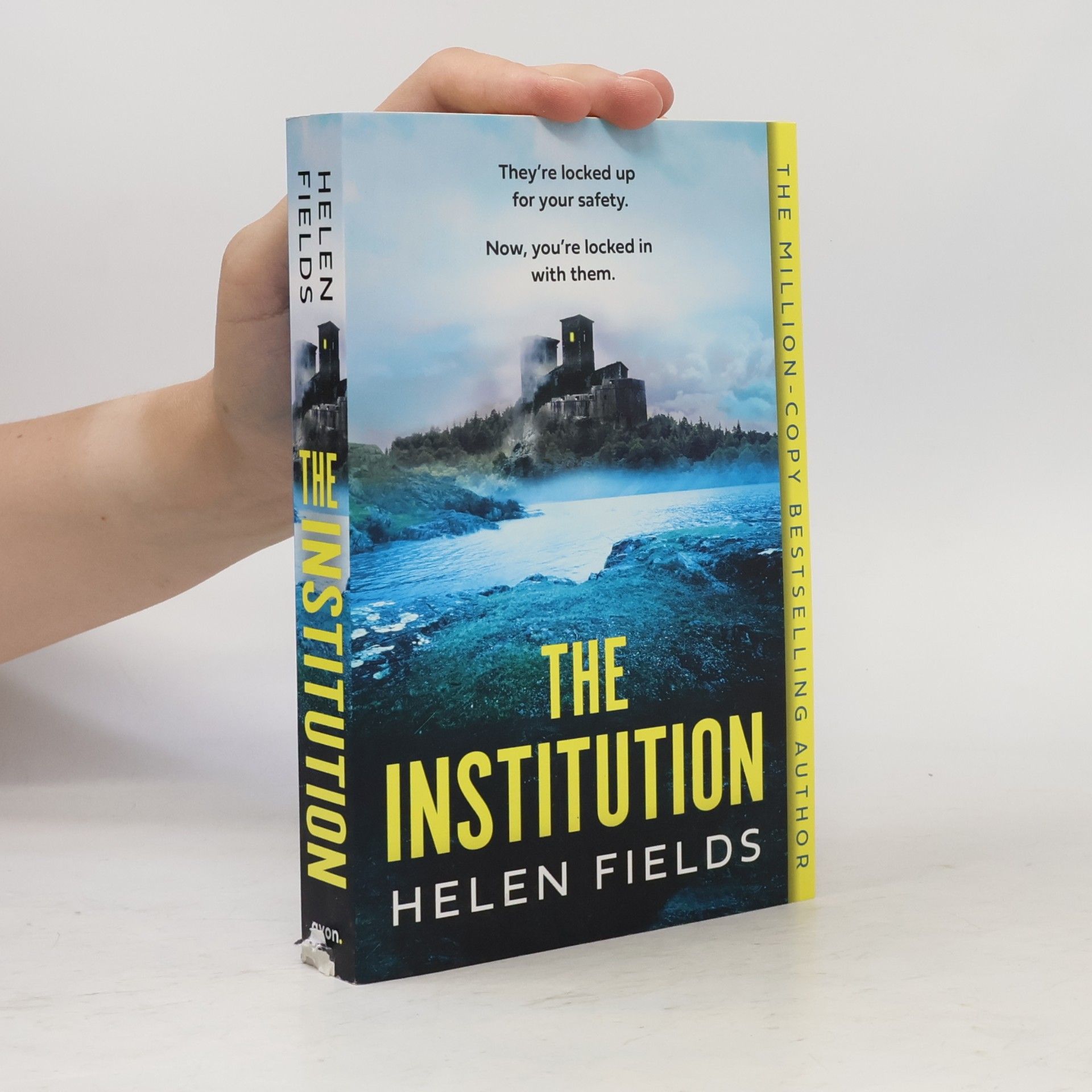 Helen Fields The Institution