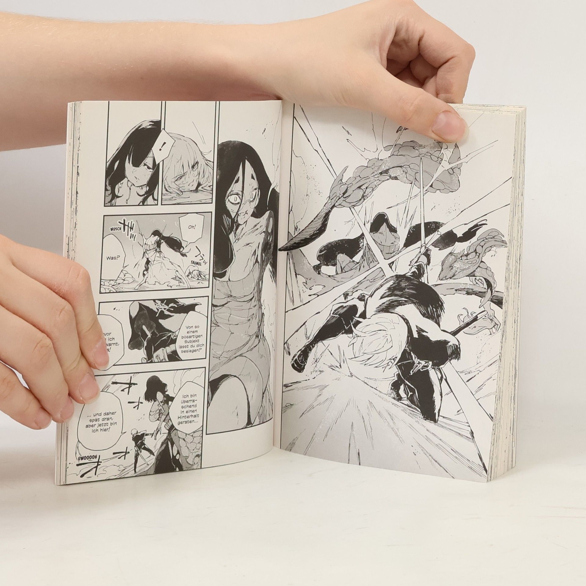 Wataru Mitogawa Crimson Sisters Bd.2