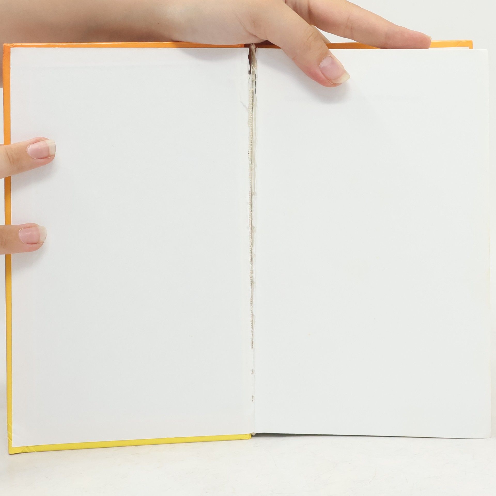 Das Buch der 1000 Superwitze