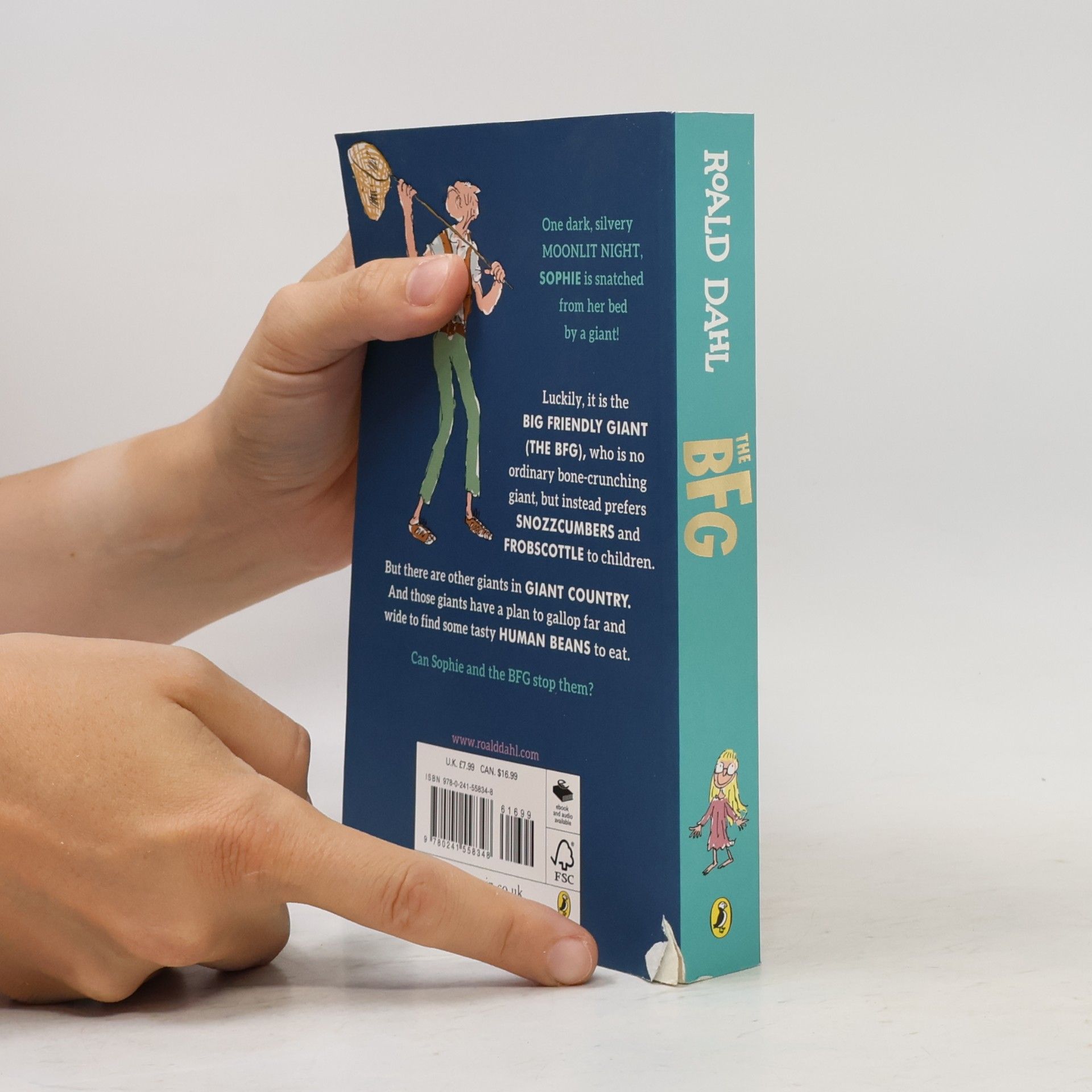 Roald Dahl The BFG