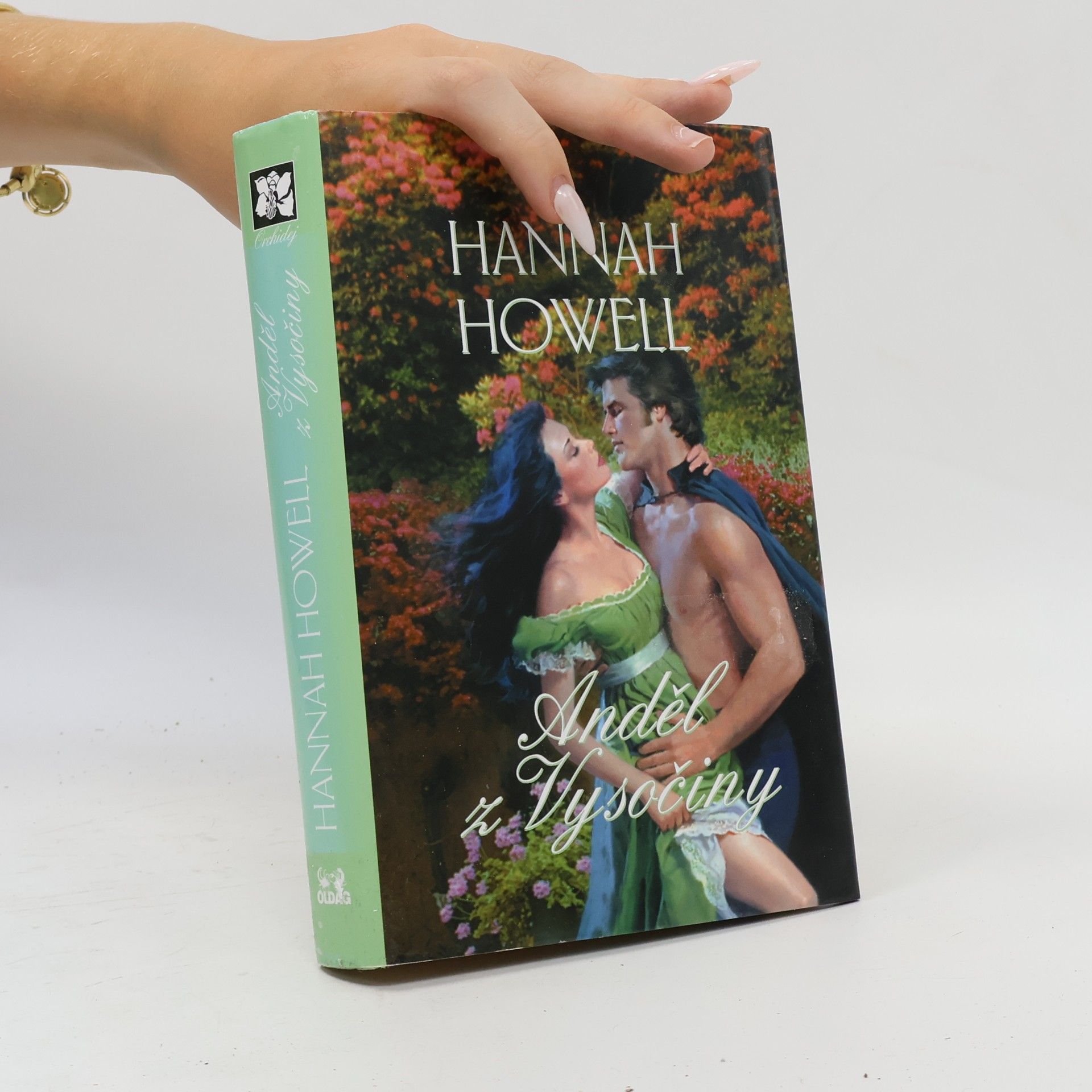 Hannah Howell Anděl z Vysočiny
