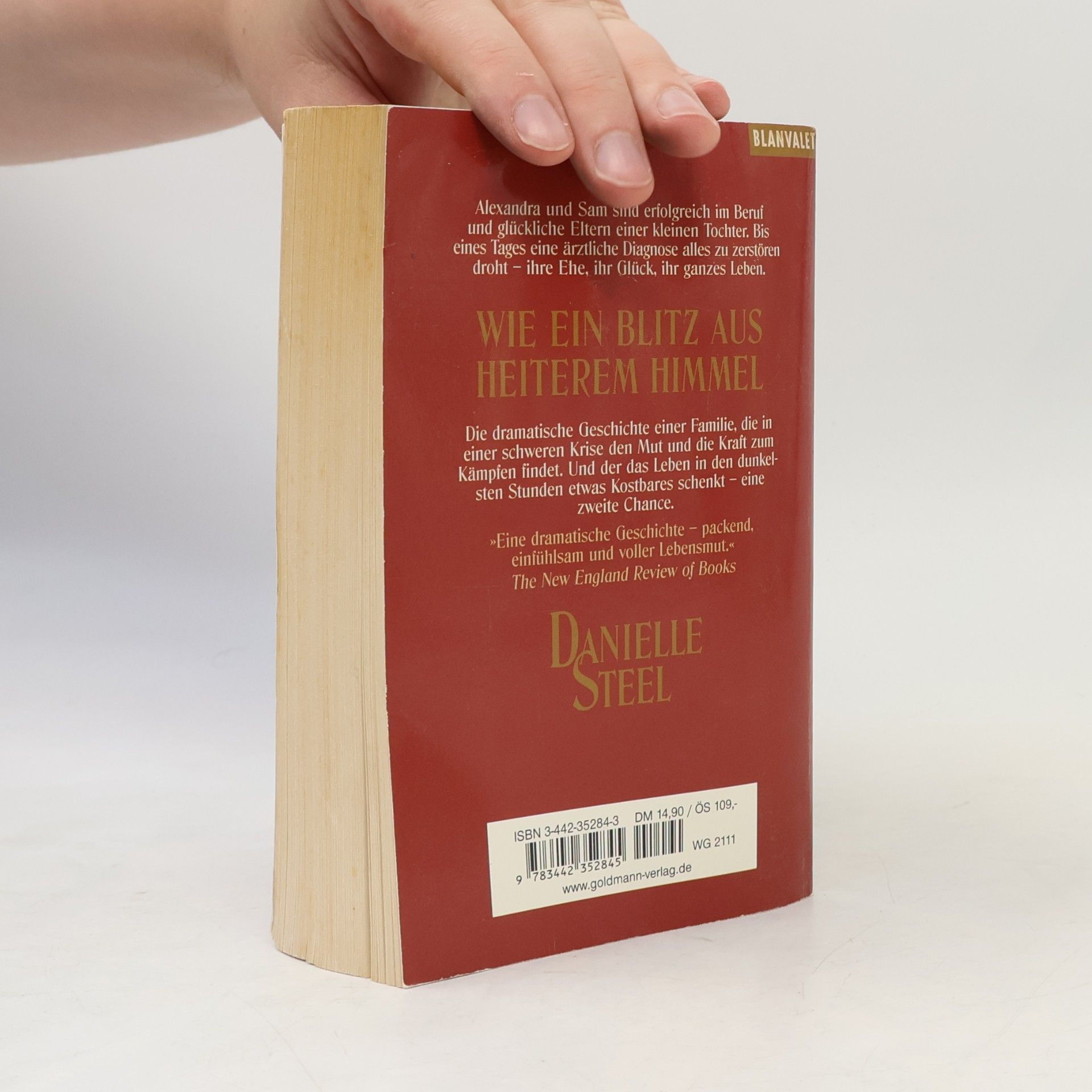 Danielle Steel Wie ein Blitz aus heiterem Himmel