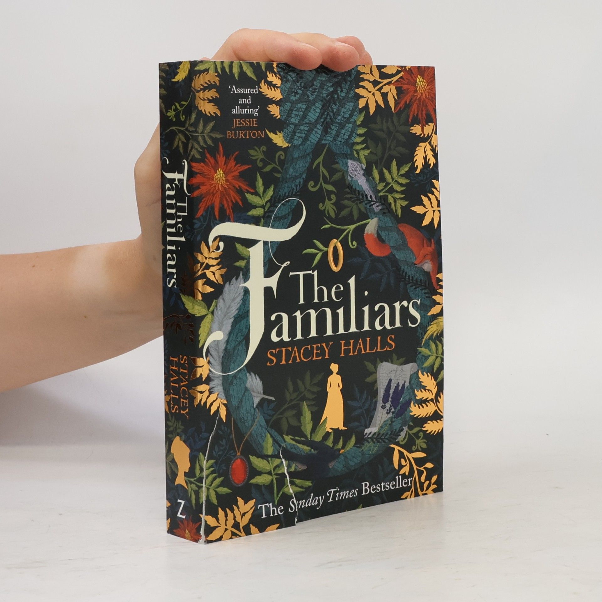 Stacey Halls The familiars