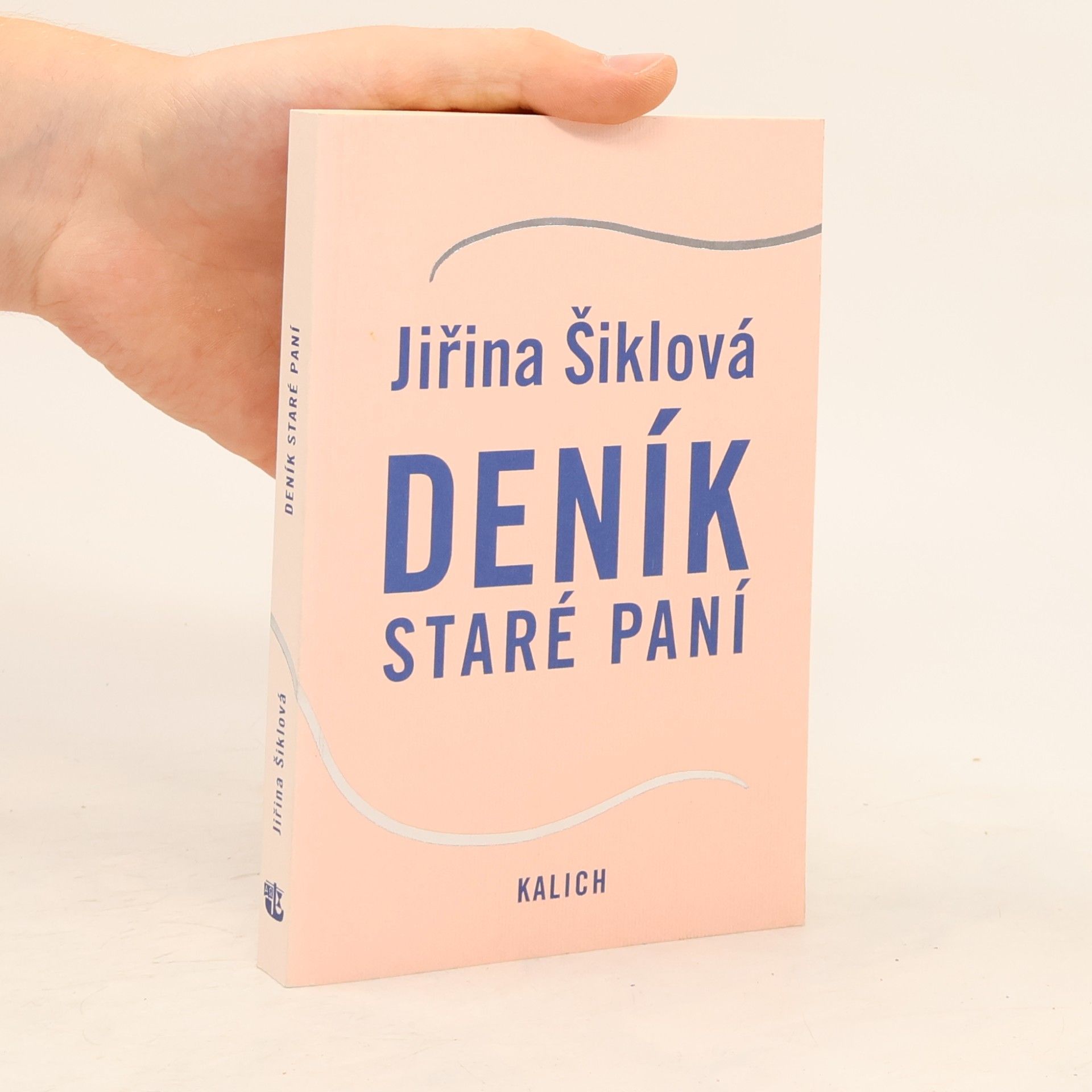 Jiřina Šiklová Deník staré paní