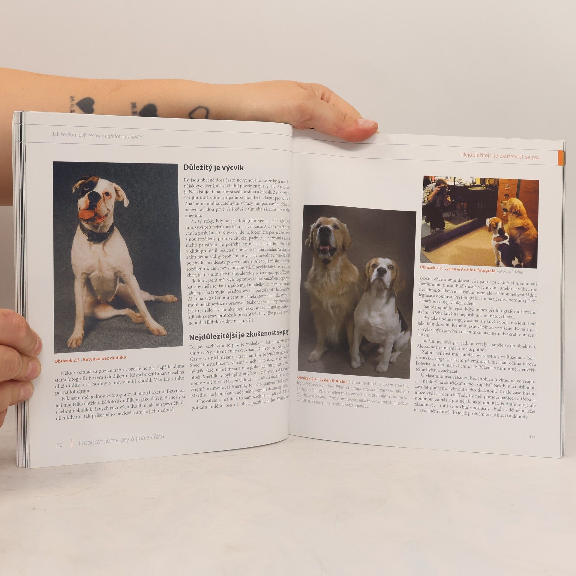 Antonín Malý Fotografujeme psy a jiná zvířata