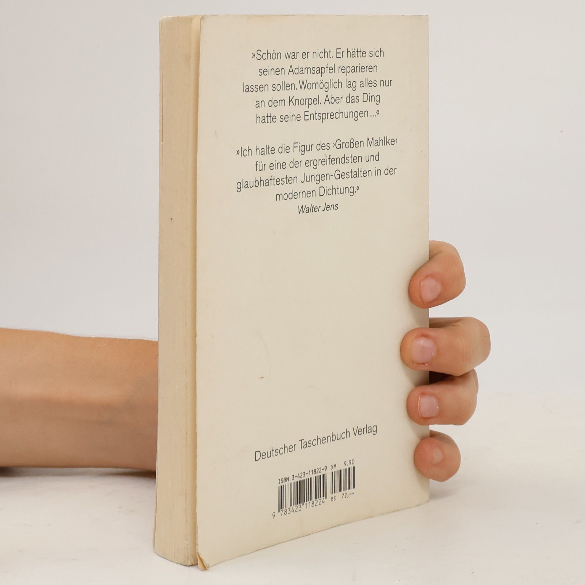 Günter Grass Katz und Maus. Eine novelle
