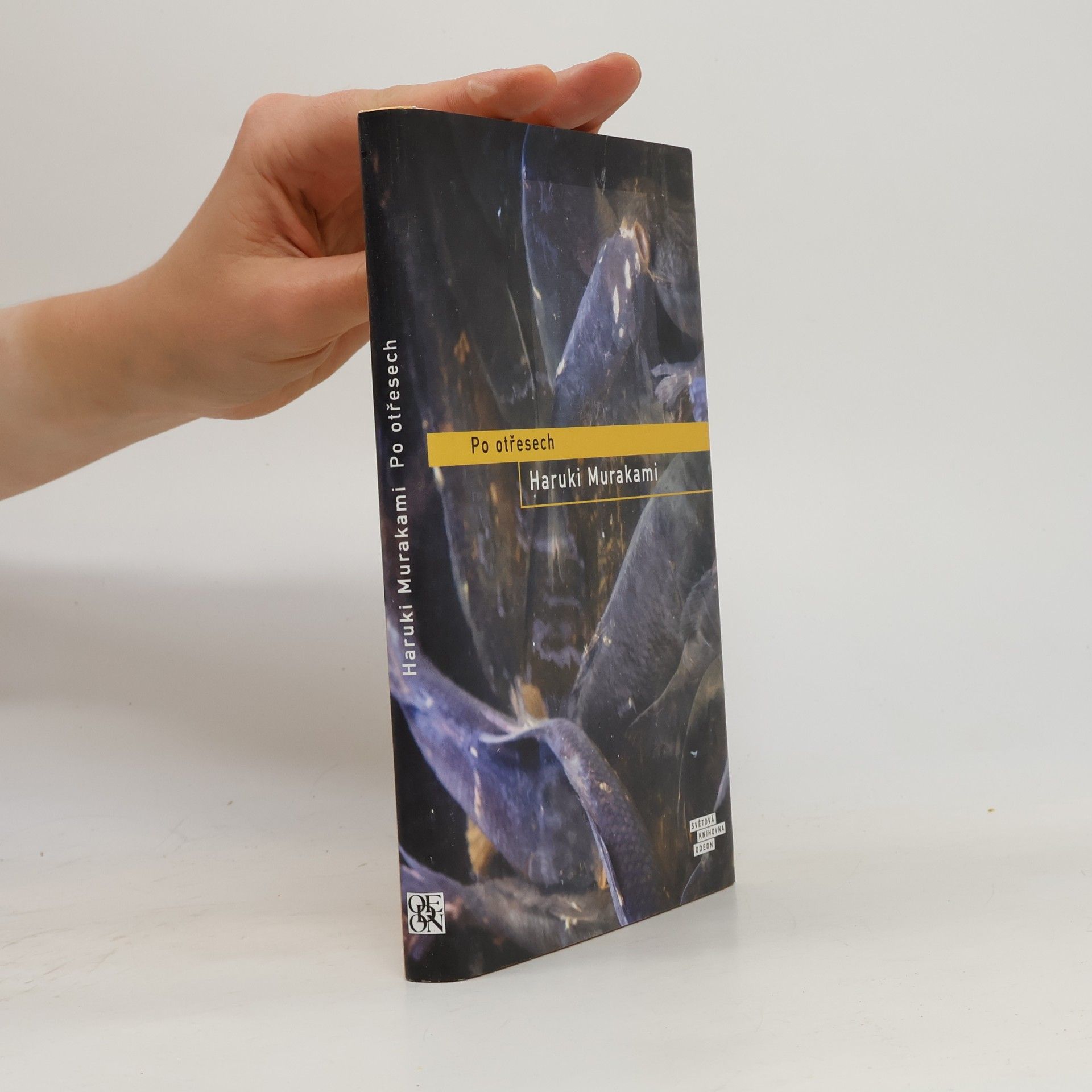 Haruki Murakami Po otřesech