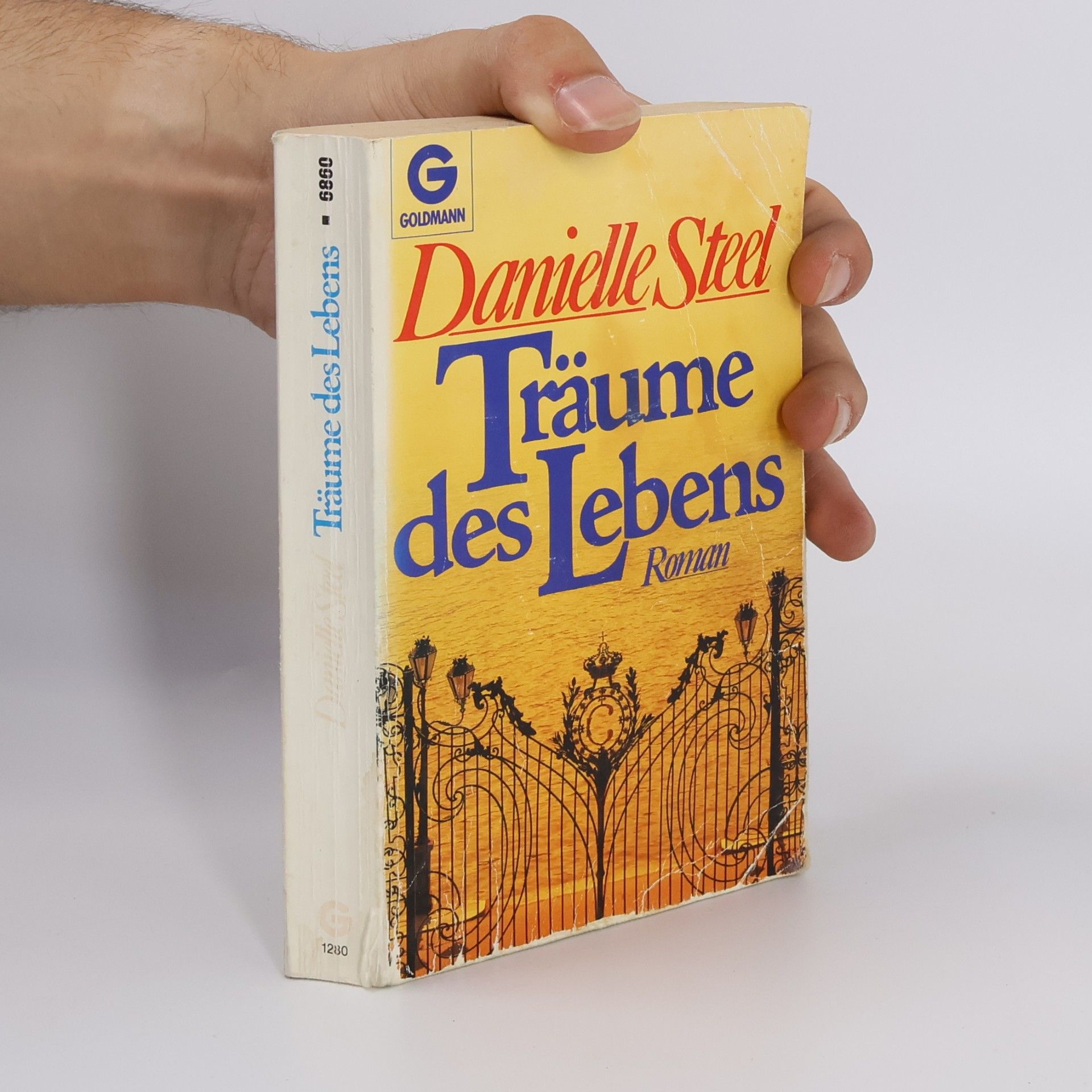 Danielle Steel Träume des Lebens