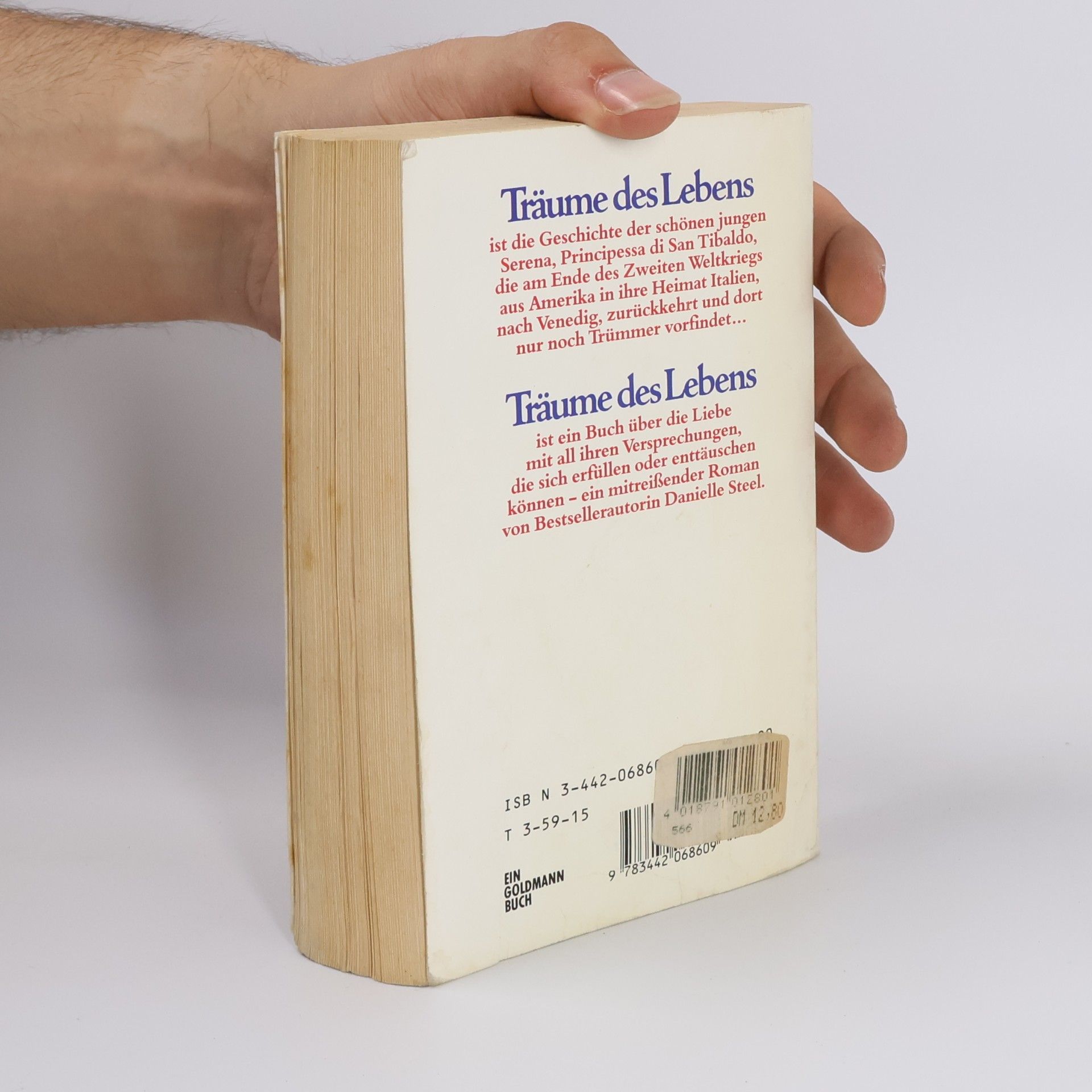 Danielle Steel Träume des Lebens