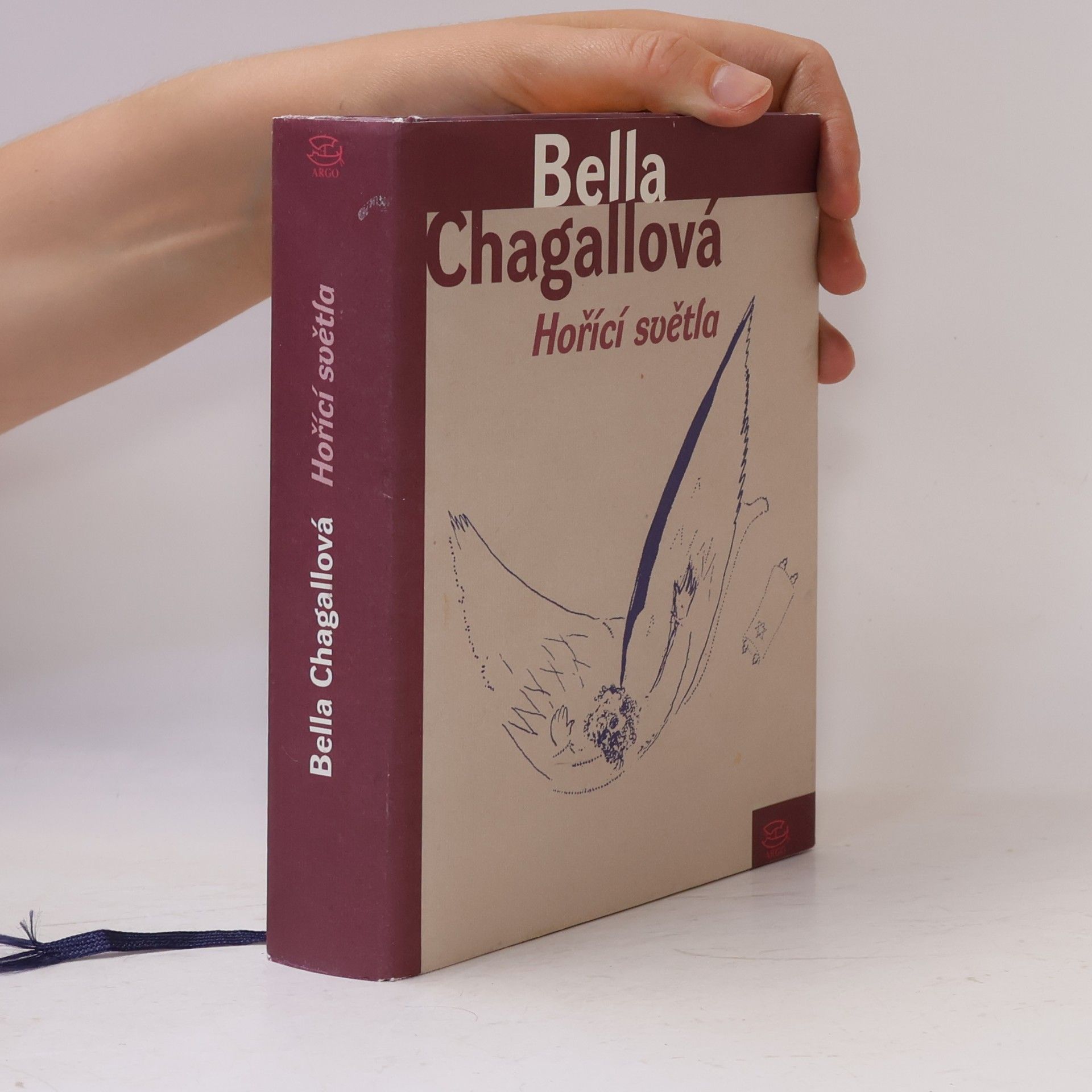 Vladimíra Daňková Hořící světla