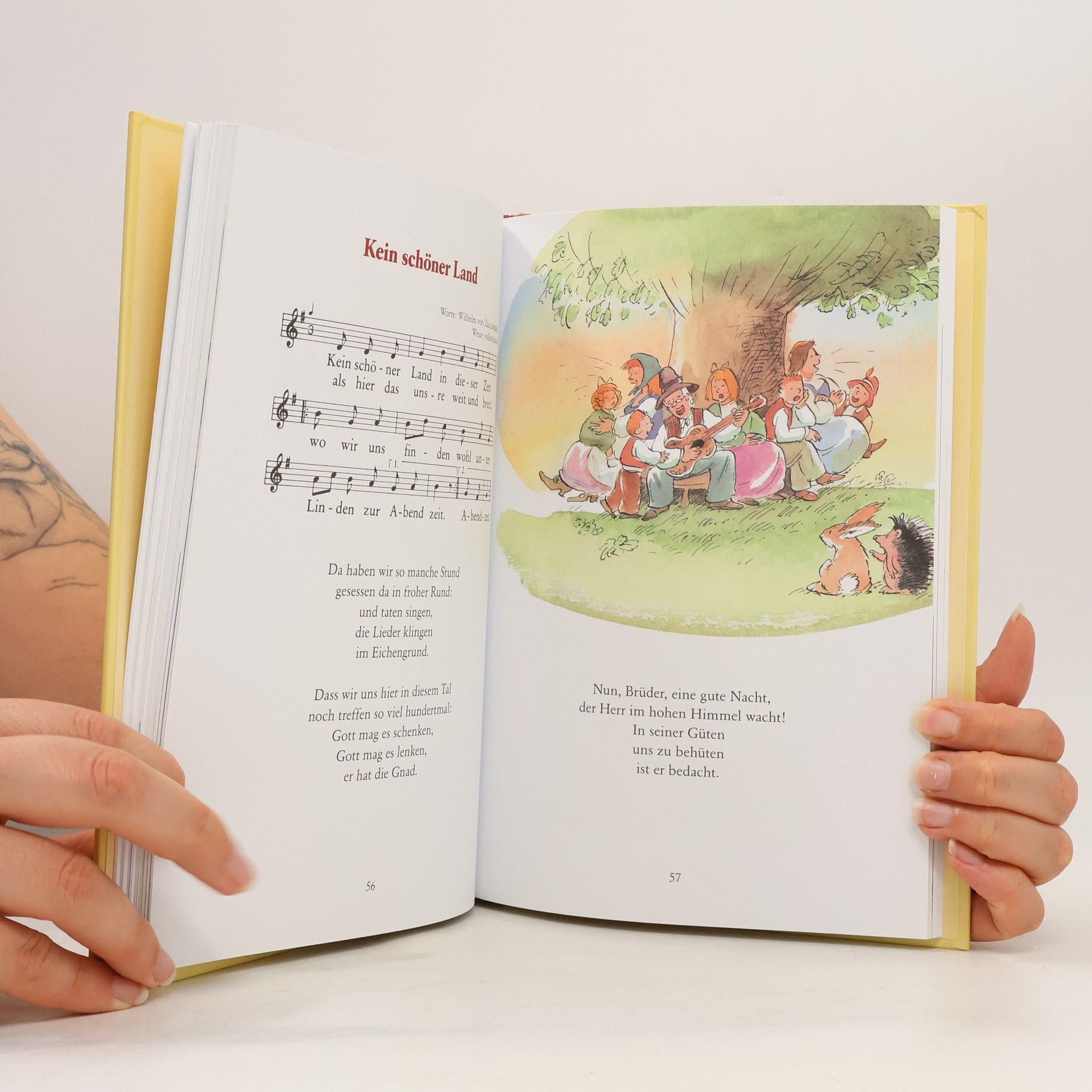 Kolektiv autorů Die schönsten klassischen Kinderlieder