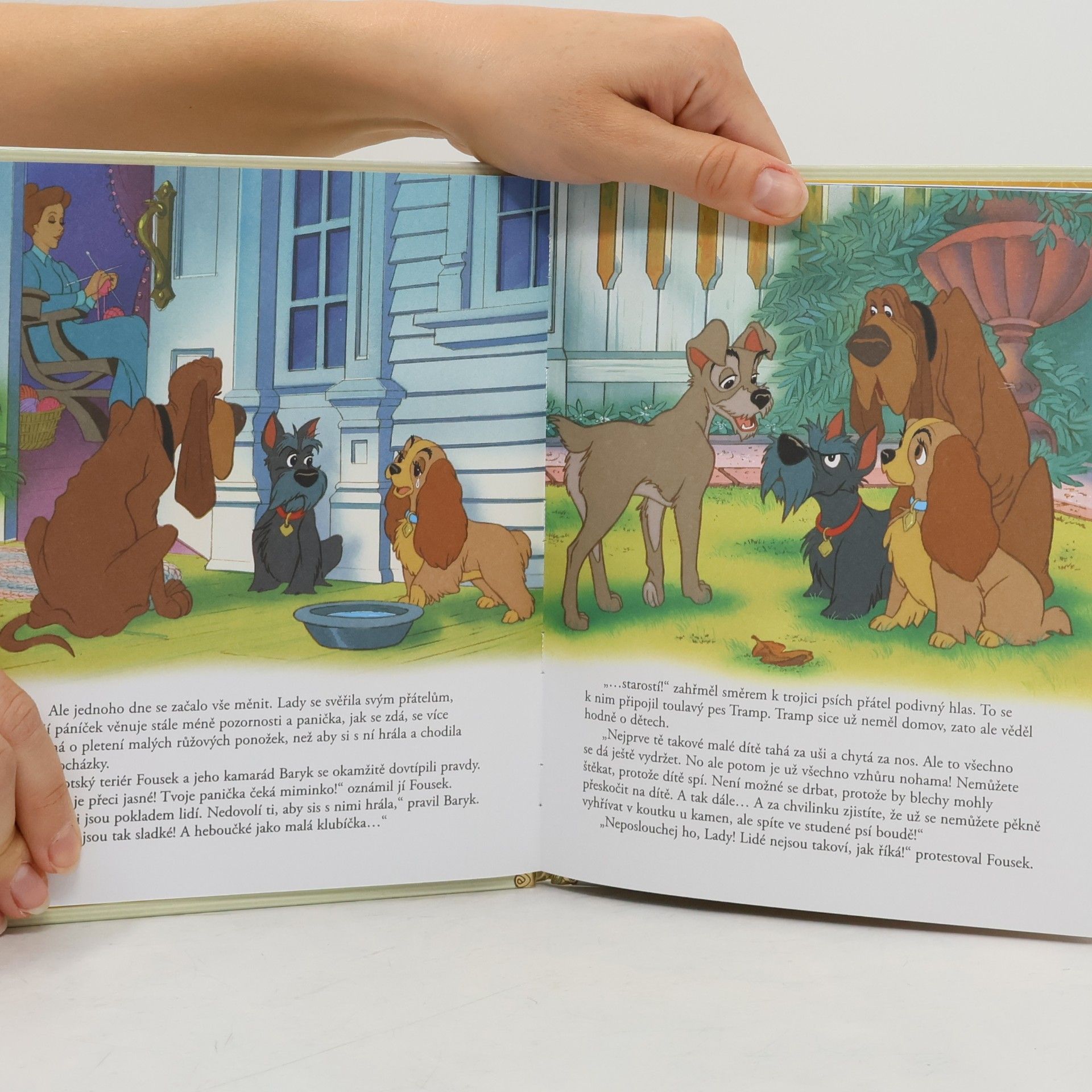 Walt Disney Zlatá sbírka pohádek 31. Lady a Tramp