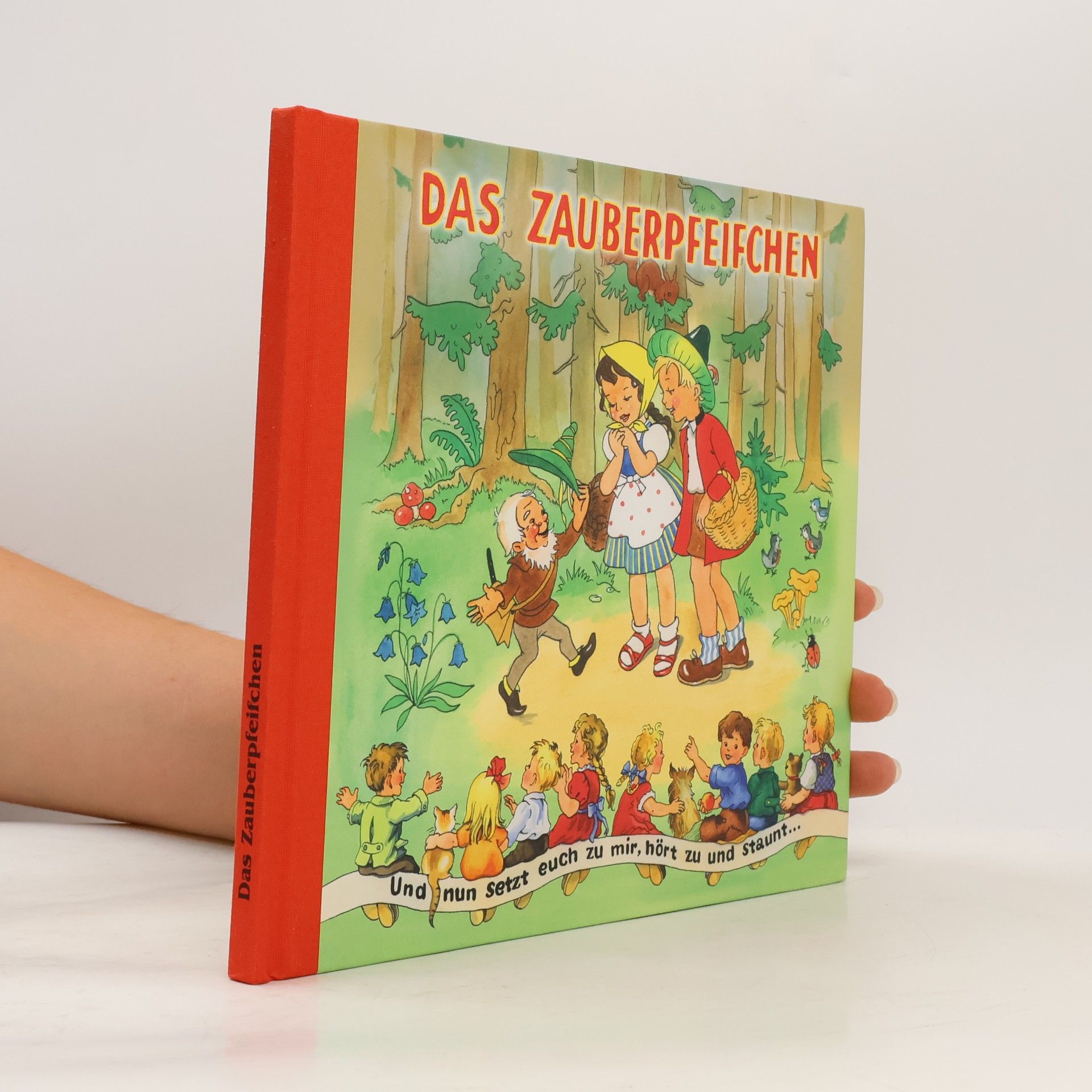 Autorenkollektiv Das Zauberpfeifchen