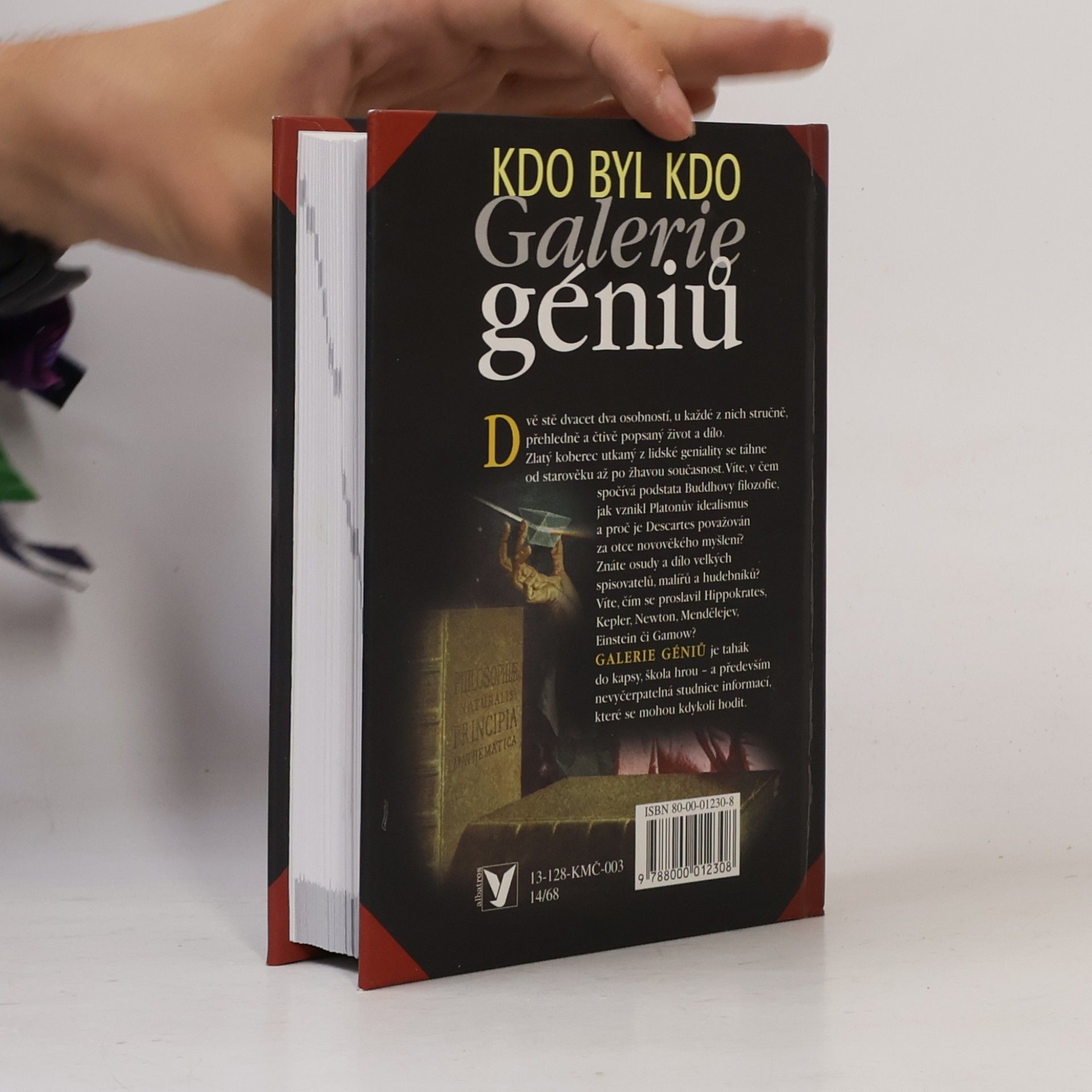 Vít Haškovec Galerie géniů aneb kdo byl kdo
