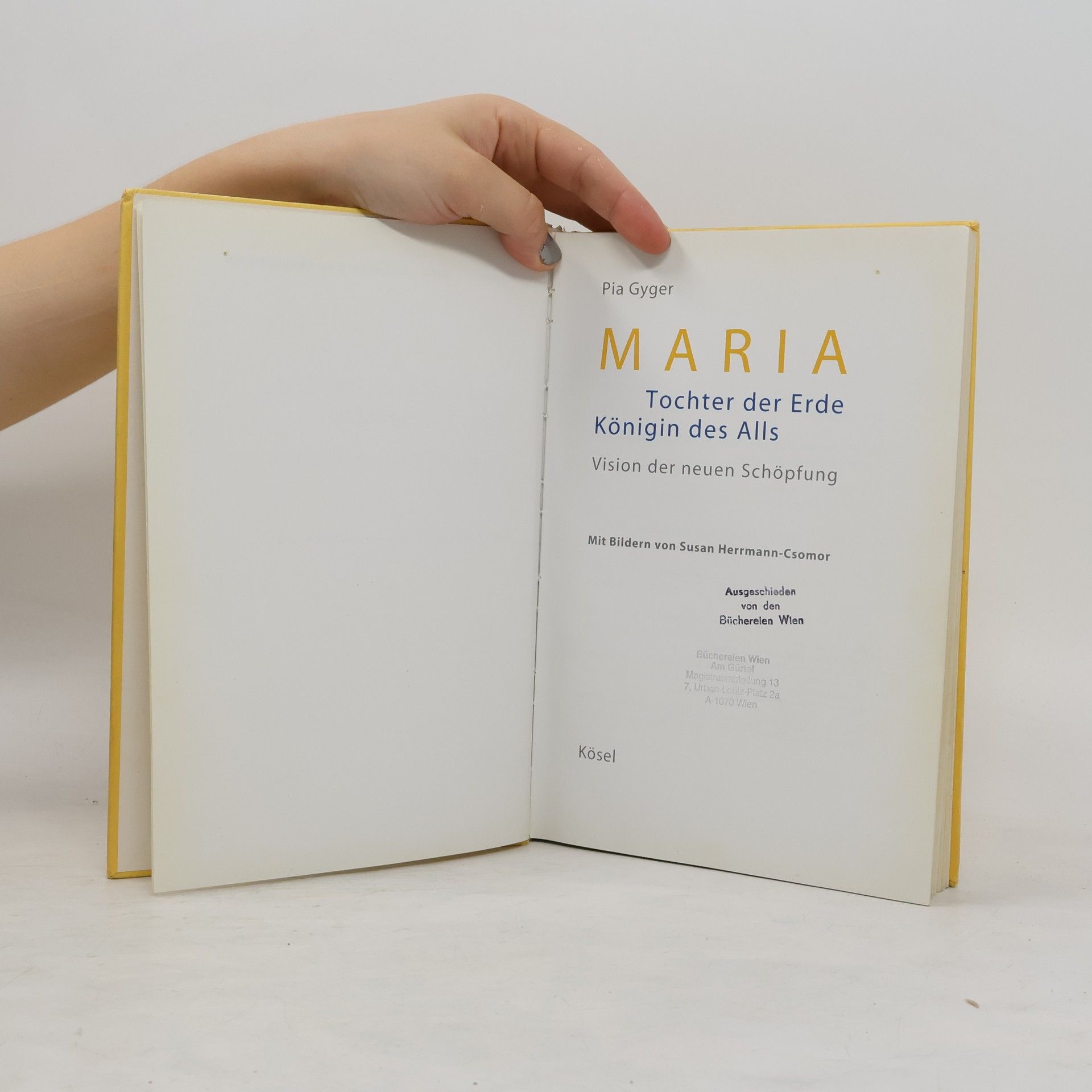 Pia Gyger Maria - Tochter der Erde. Königin des Alls. Vision der neuen Schöpfung.