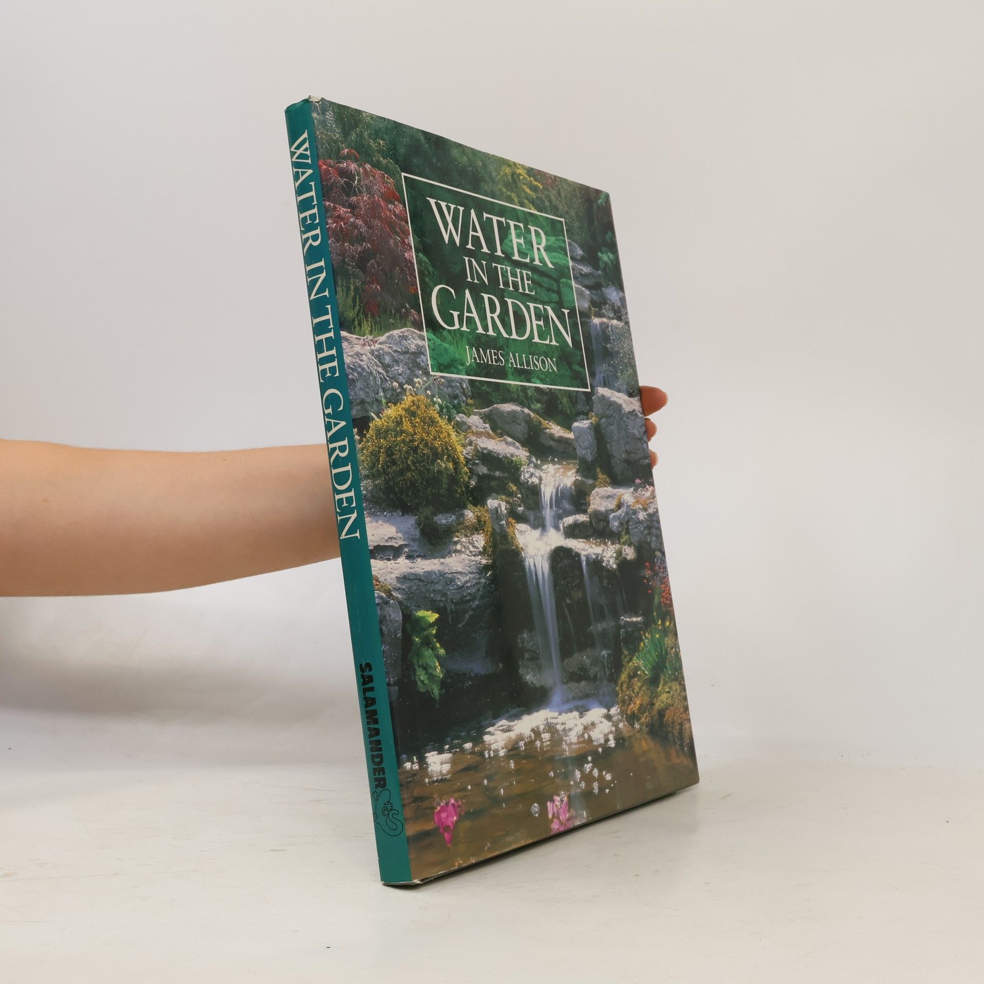 James Allison Water in the Garden