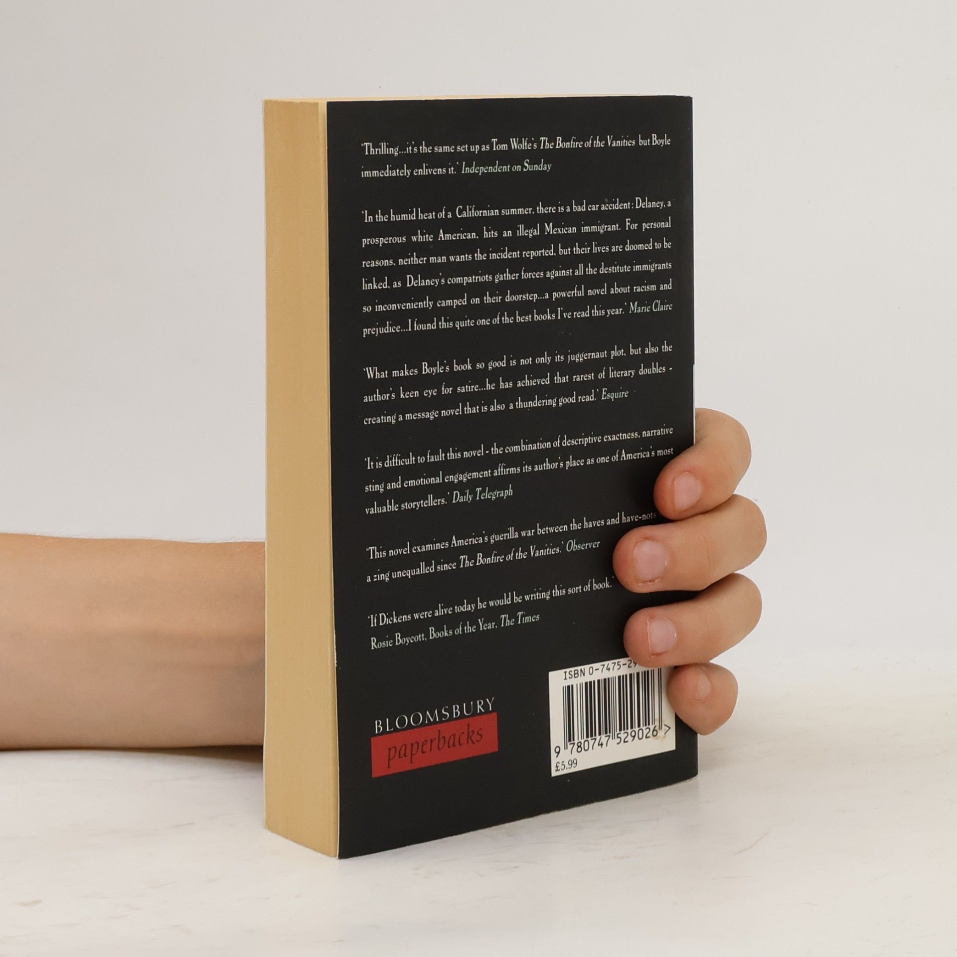 T. Coraghessan Boyle The Tortilla Curtain