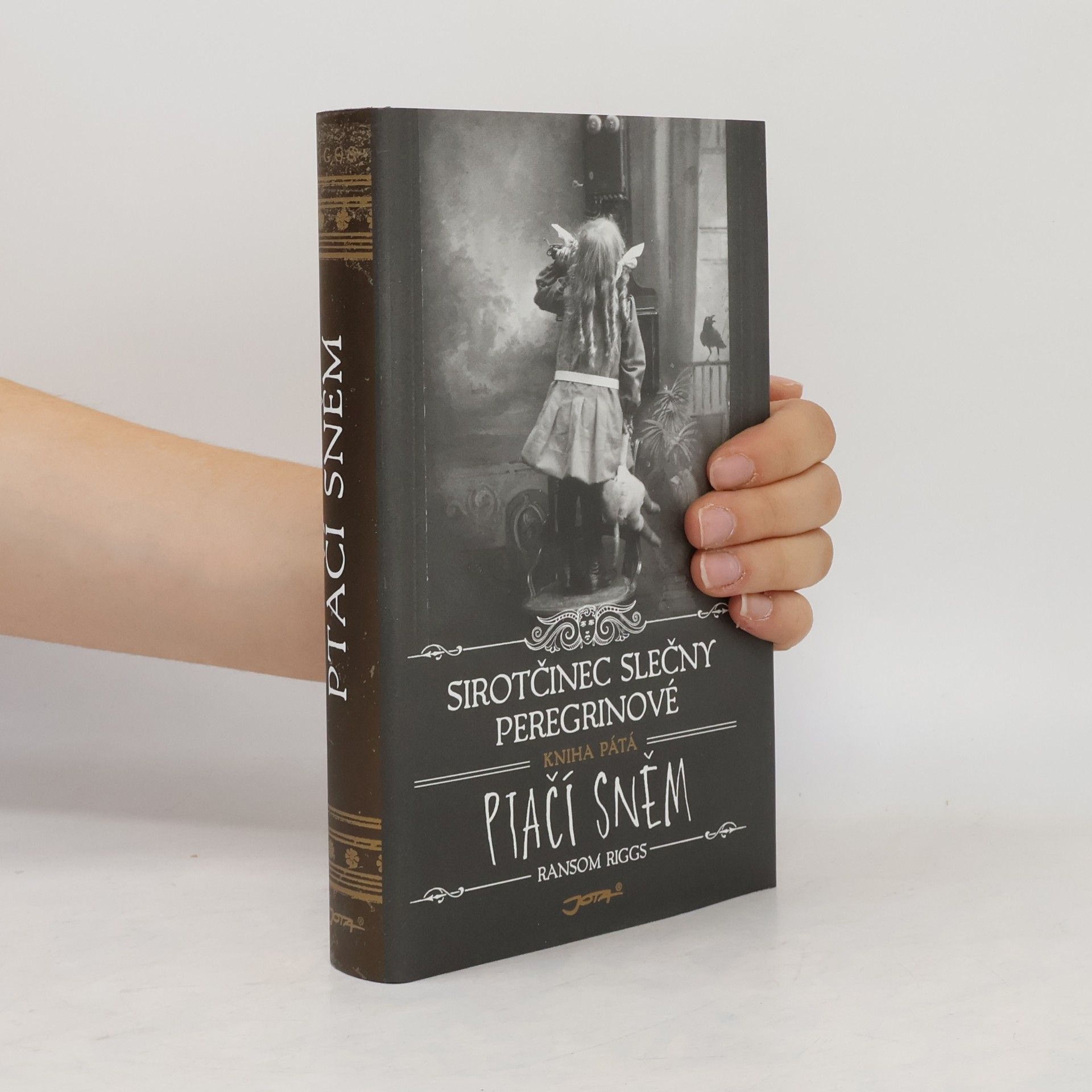 Ransom Riggs Ptačí sněm