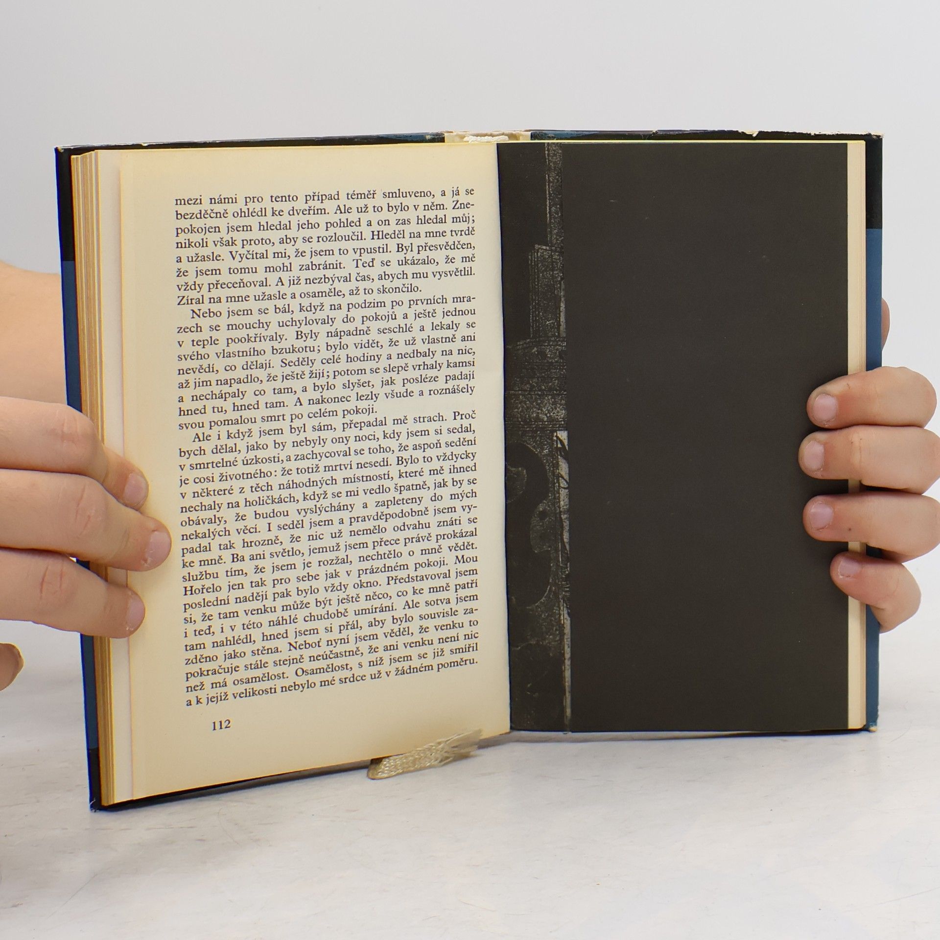 Rainer Maria Rilke Zápisky Malta Lauridse Brigga