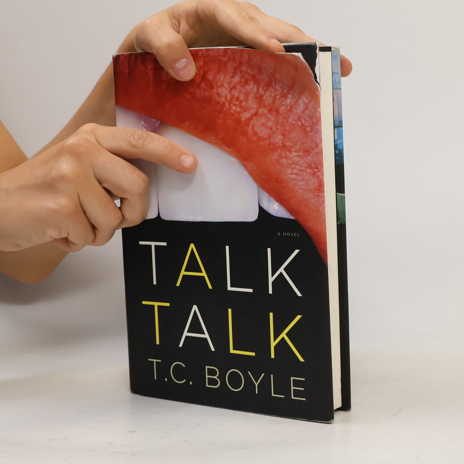 T. Coraghessan Boyle Talk Talk