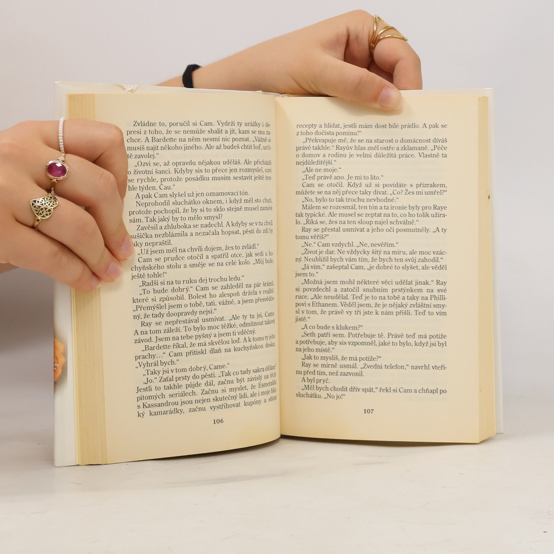 Nora Roberts Past na dobrodruha