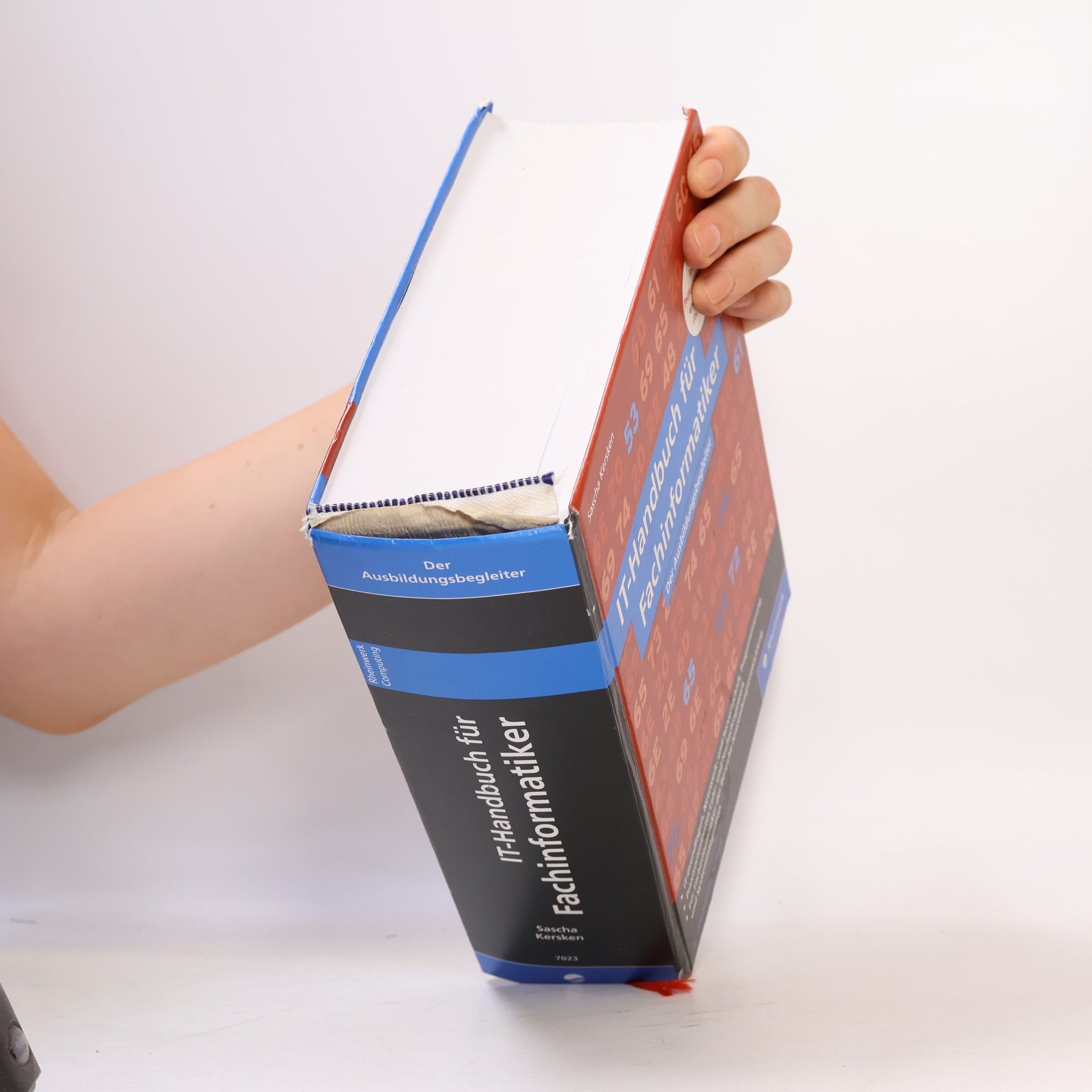 Sascha Kersken IT-Handbuch für Fachinformatiker