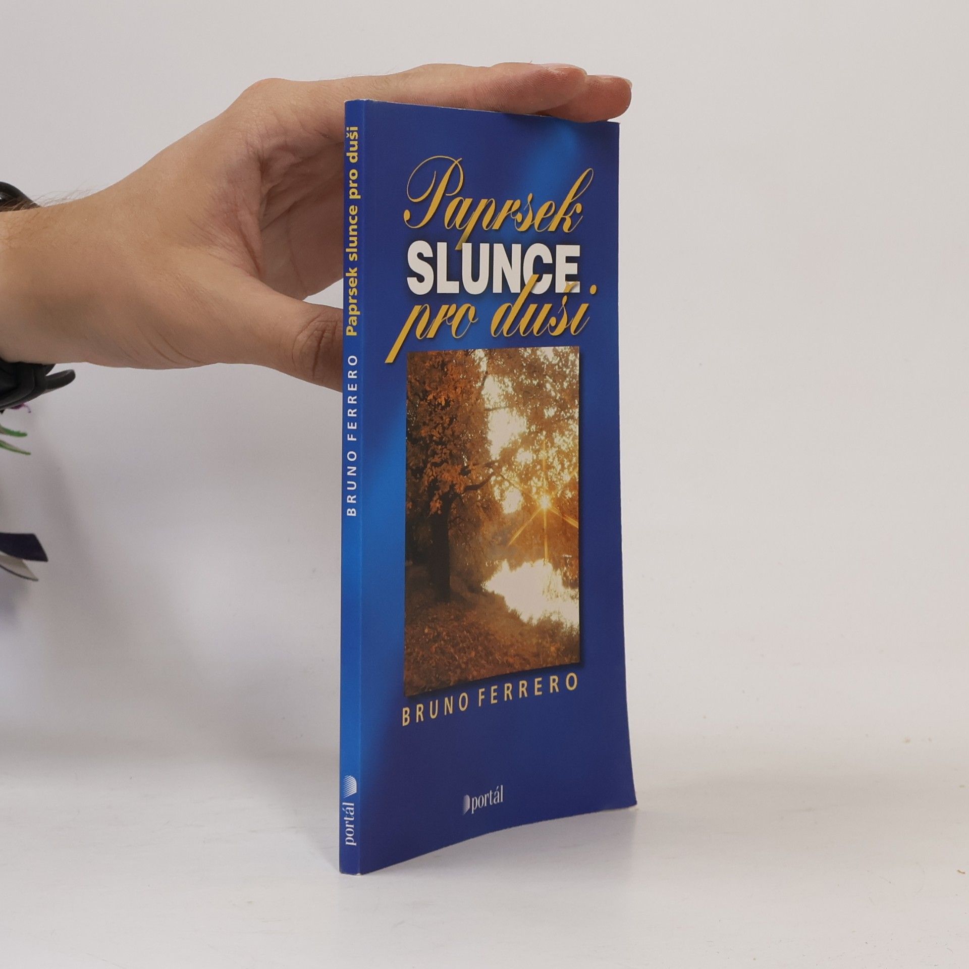 Bruno Ferrero Paprsek slunce pro duši
