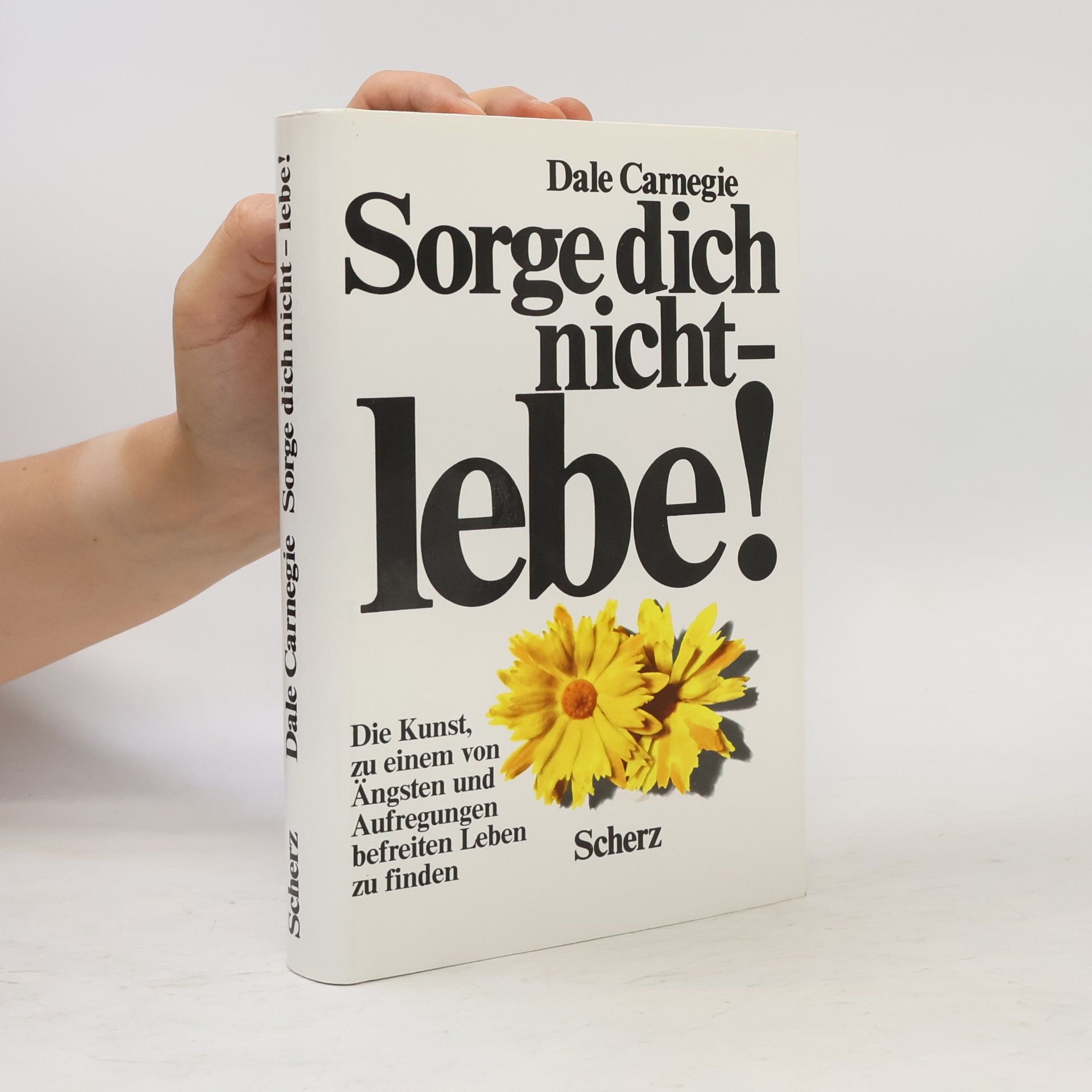 Dale Carnegie Sorge dich nicht - lebe!