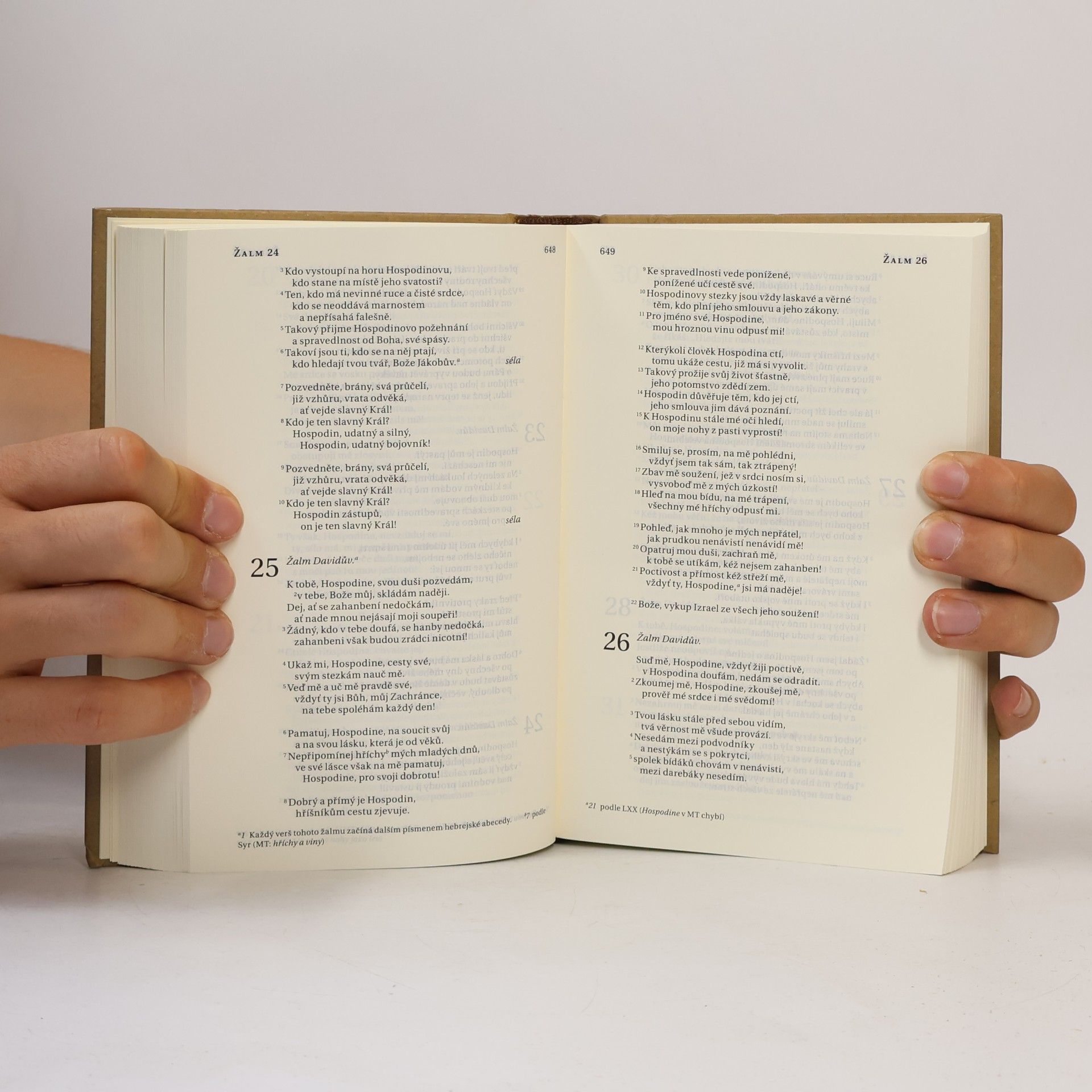 Alexandr Flek Bible. Překlad 21. století
