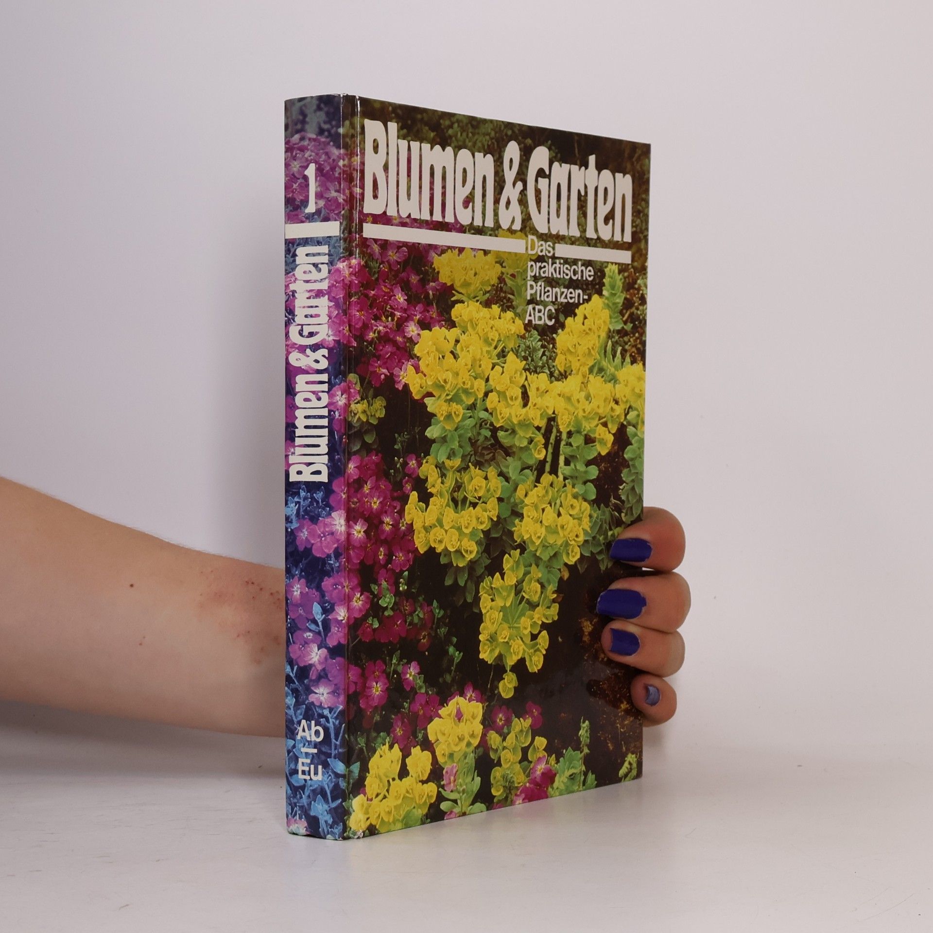 Autorenkollektiv Blumen & Garten 1. Das praktische Pflanzen-ABC