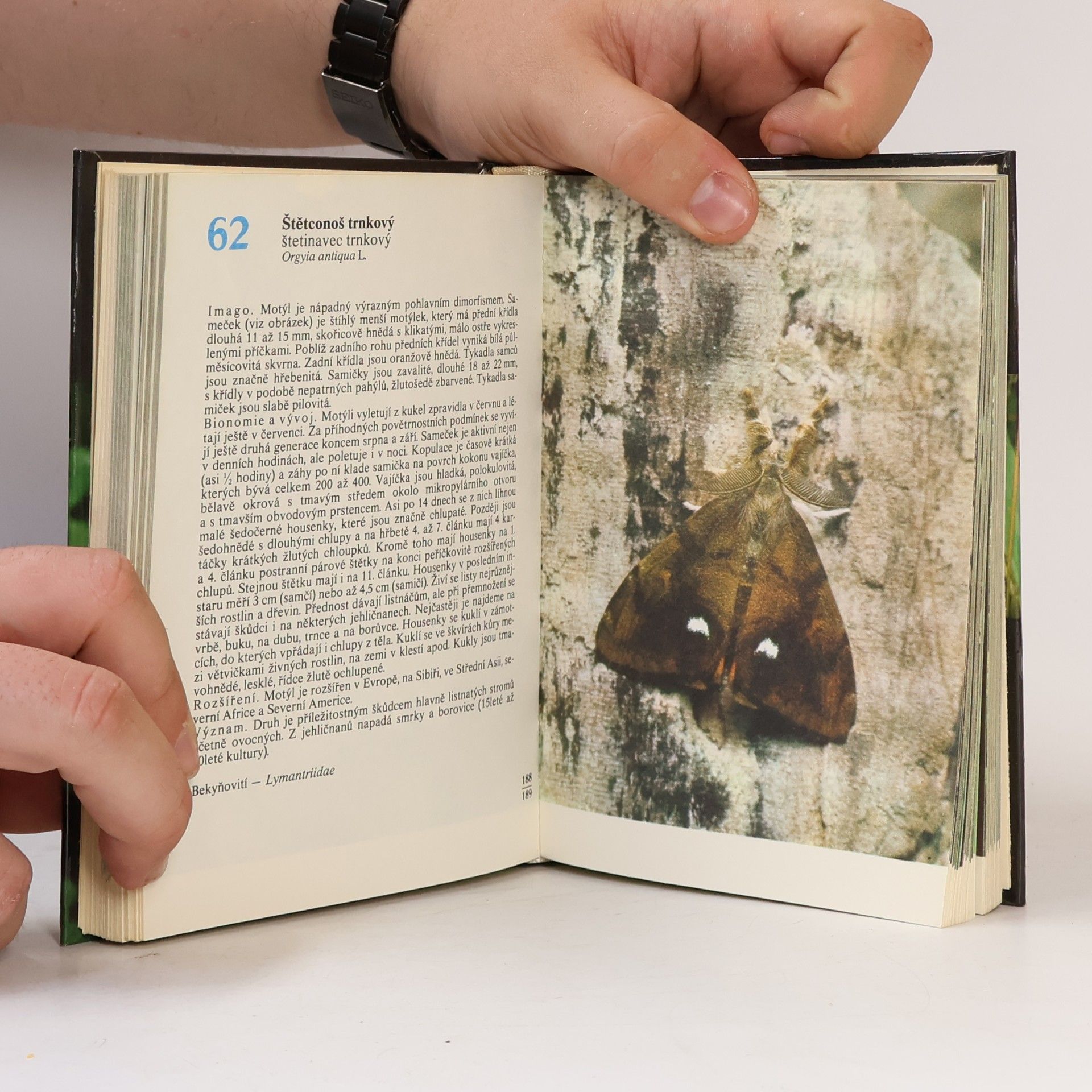 Rudolf Hrabák Kapesní atlas našich motýlů
