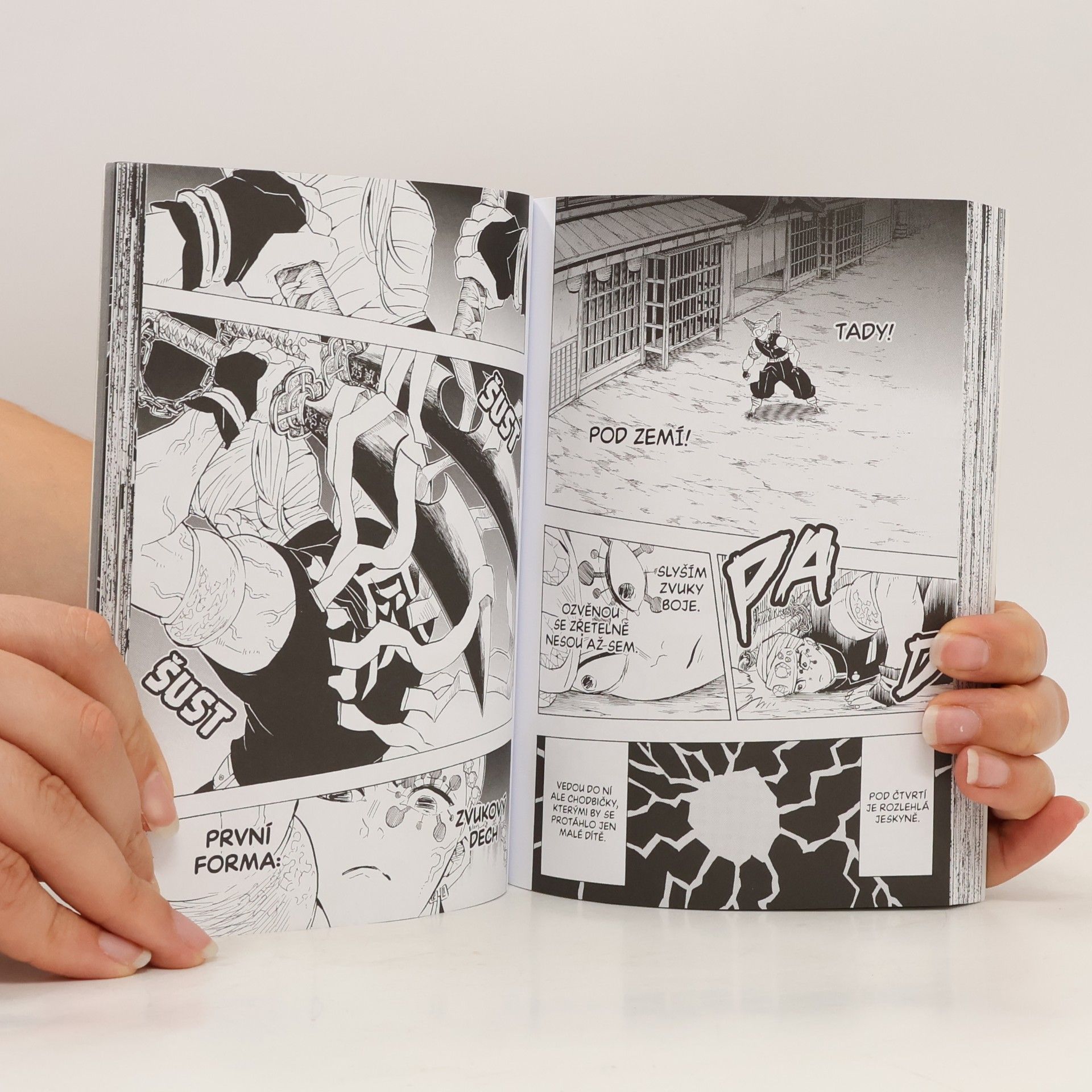 Koyoharu Gotoge Zabiják démonů 9: Velká infiltrace vykřičené čtvrti