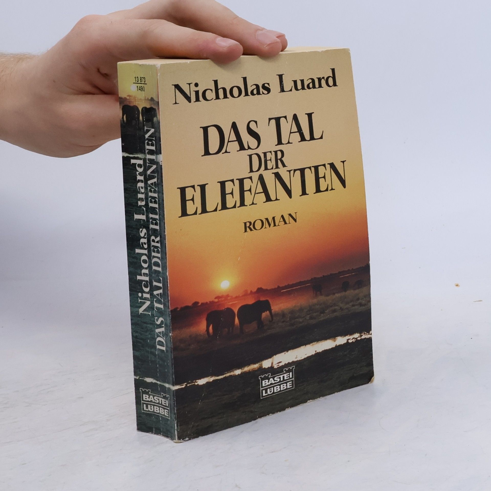 Nicholas Luard Das Tal der Elefanten