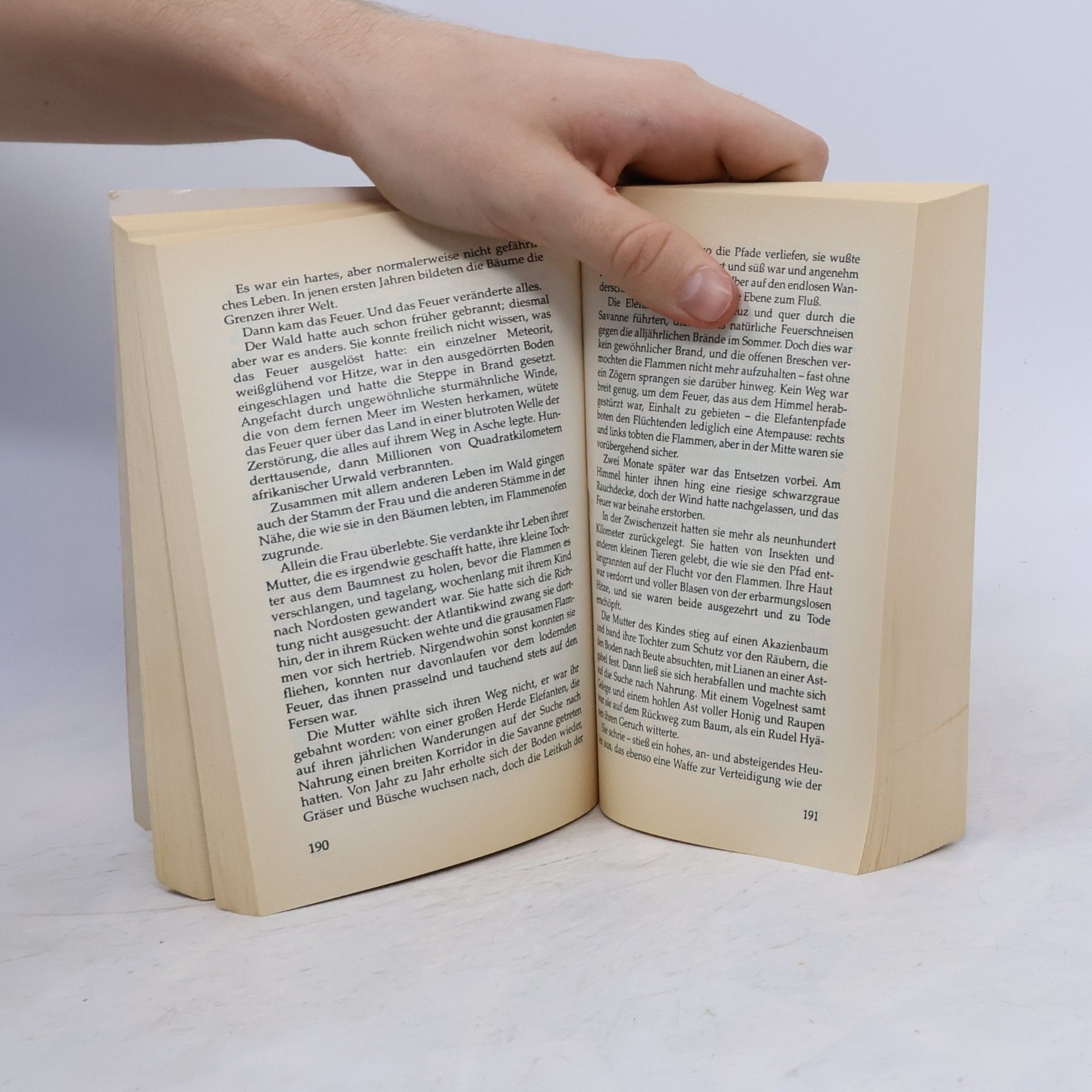 Nicholas Luard Das Tal der Elefanten
