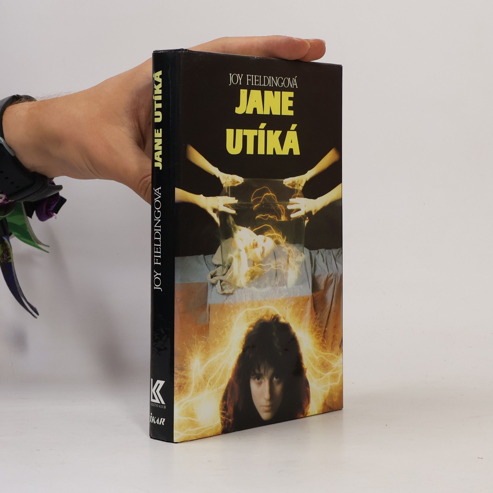 Joy Fielding Jane utíká