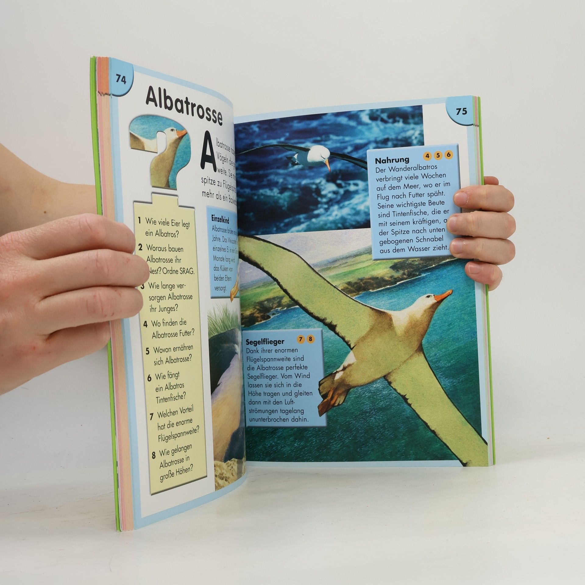 Kinder-Quiz-Buch