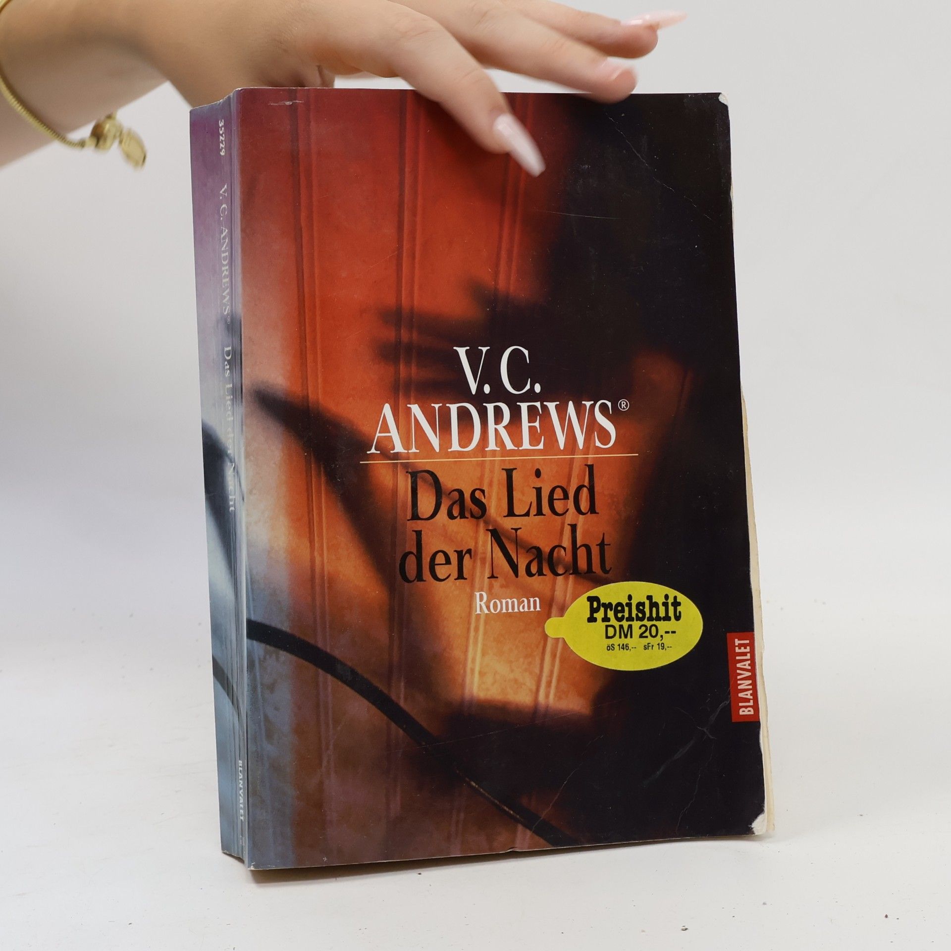 Virginia Cleo Andrews Das Lied der Nacht