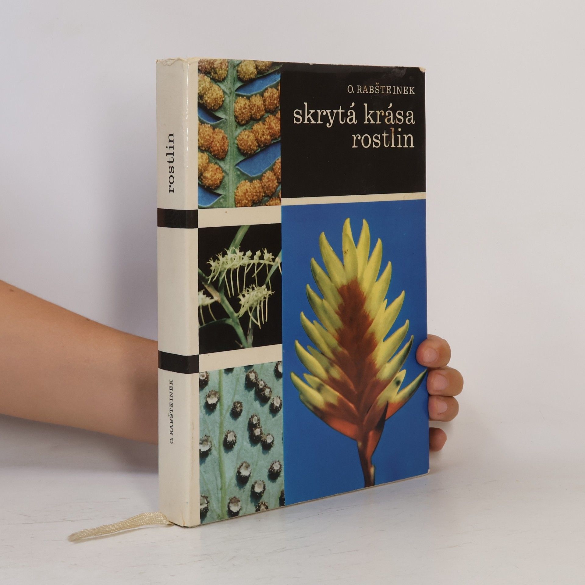 Otomar Rabšteinek Skrytá krása rostlin