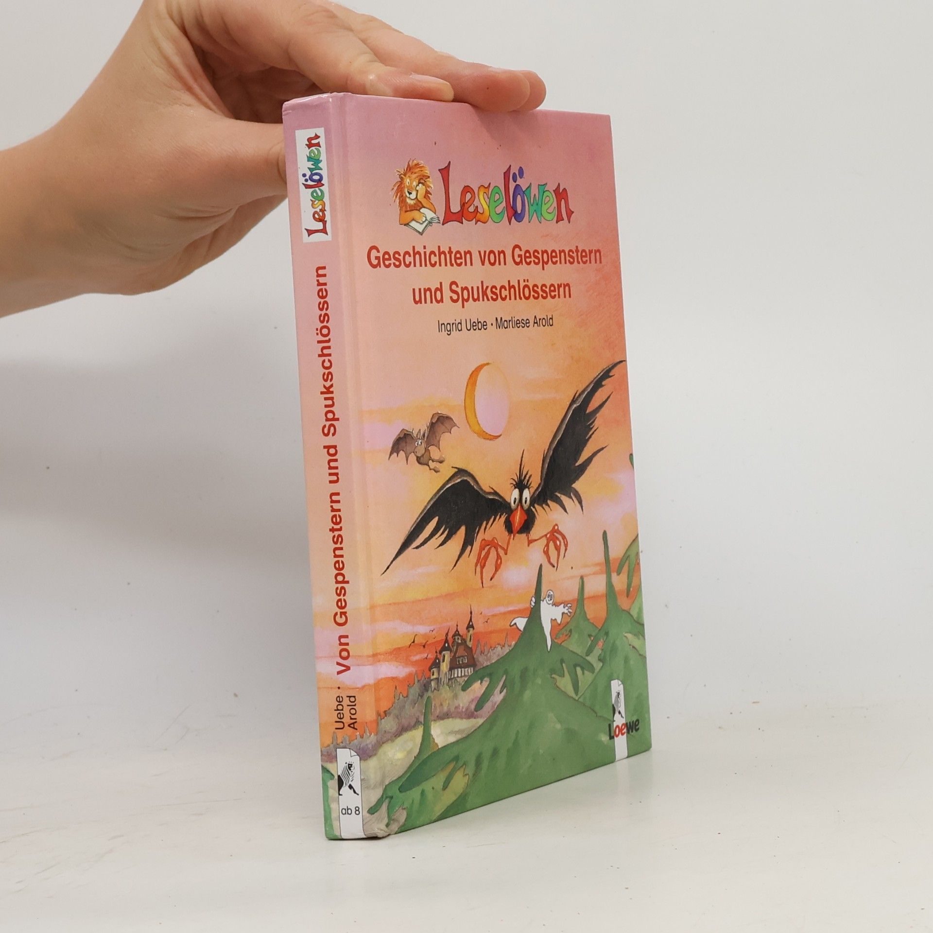 Autorenkollektiv Leselöwen-Geschichten von Gespenstern und Spukschlössern