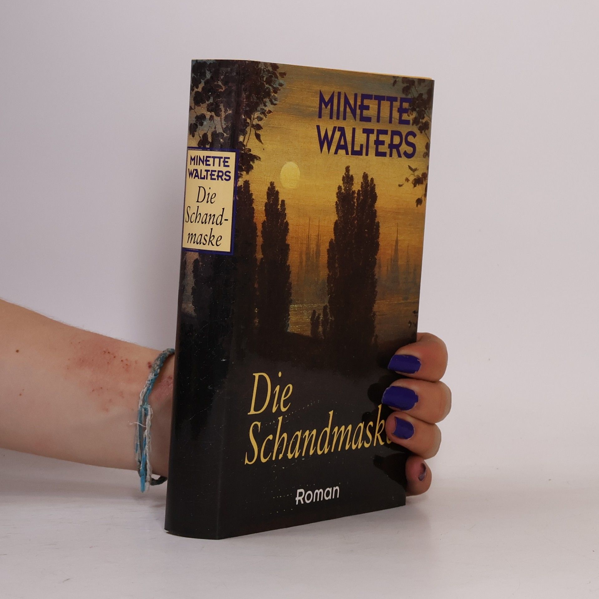 Minette Walter Die Schandmaske